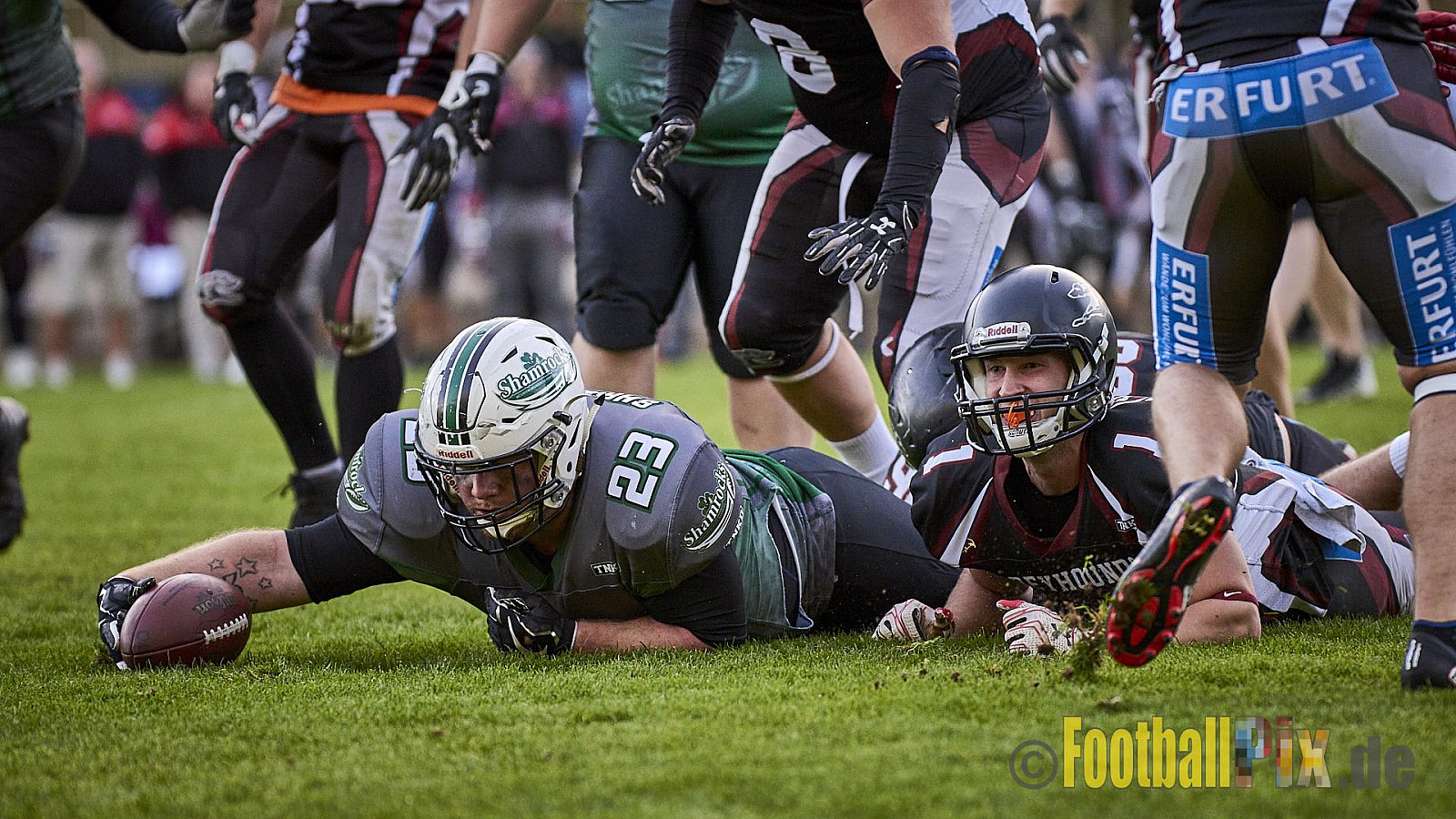 Wuppertal Greyhounds vs. Mülheim Shamrocks - WuppertalGreyhoundsVsMhShamrocks