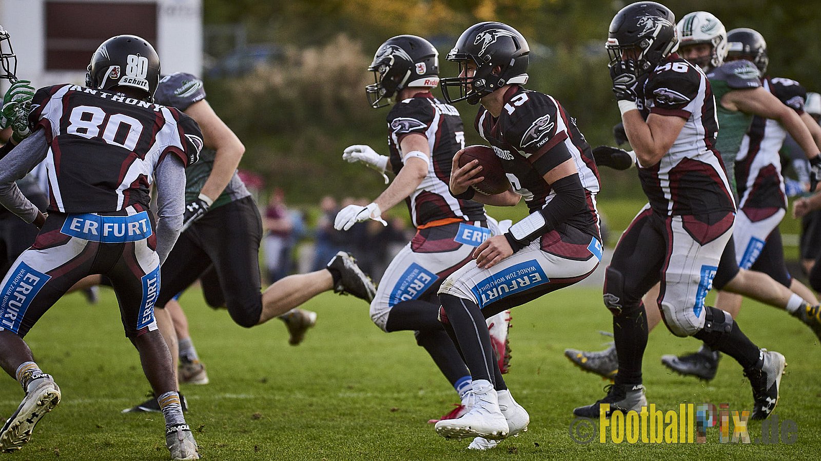 Wuppertal Greyhounds vs. Mülheim Shamrocks - WuppertalGreyhoundsVsMhShamrocks