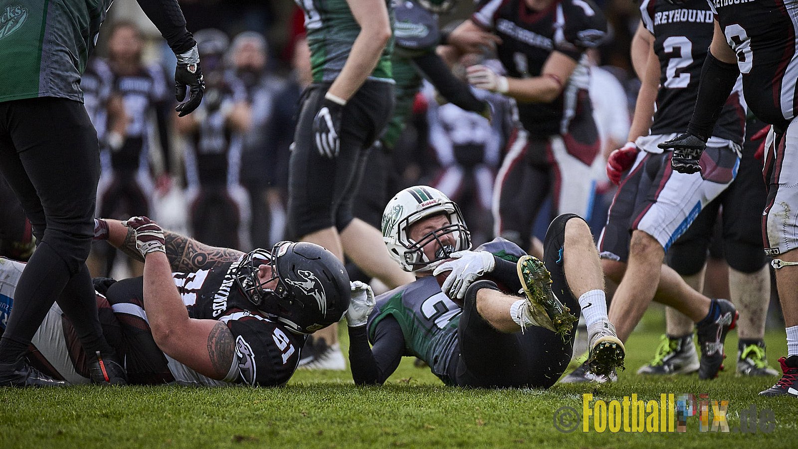 Wuppertal Greyhounds vs. Mülheim Shamrocks - WuppertalGreyhoundsVsMhShamrocks