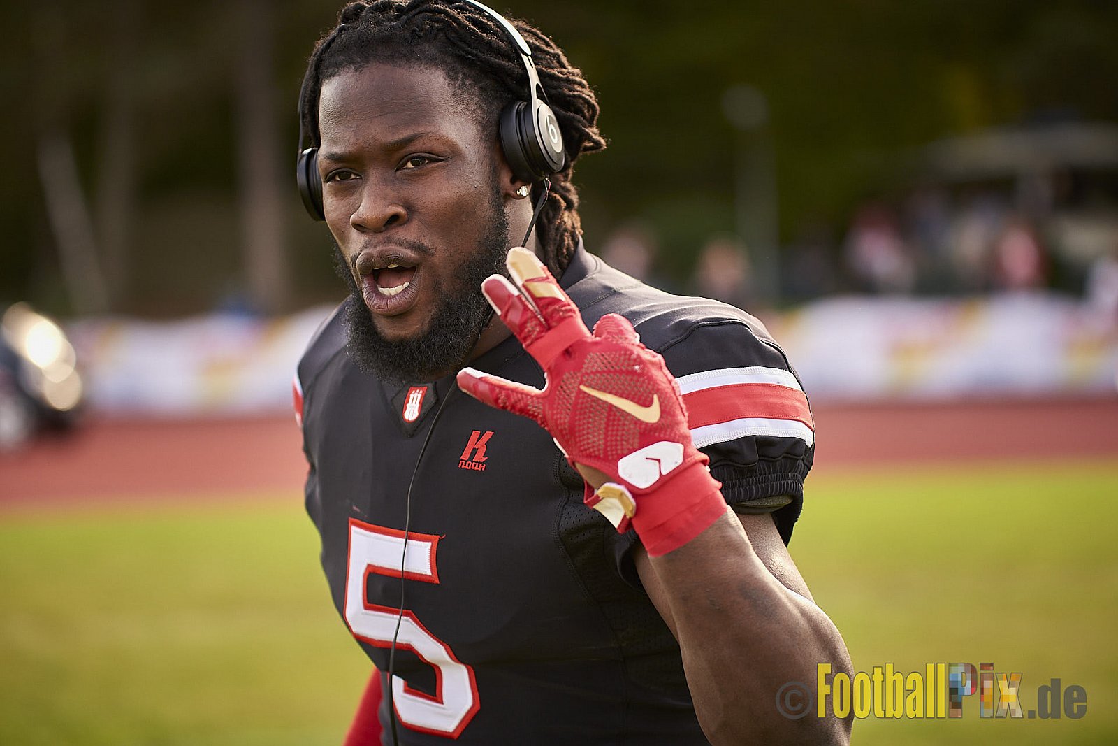 Düsseldorf Panther vs. Hamburg Huskies - RelegationDPantherVsHamburgHuskies