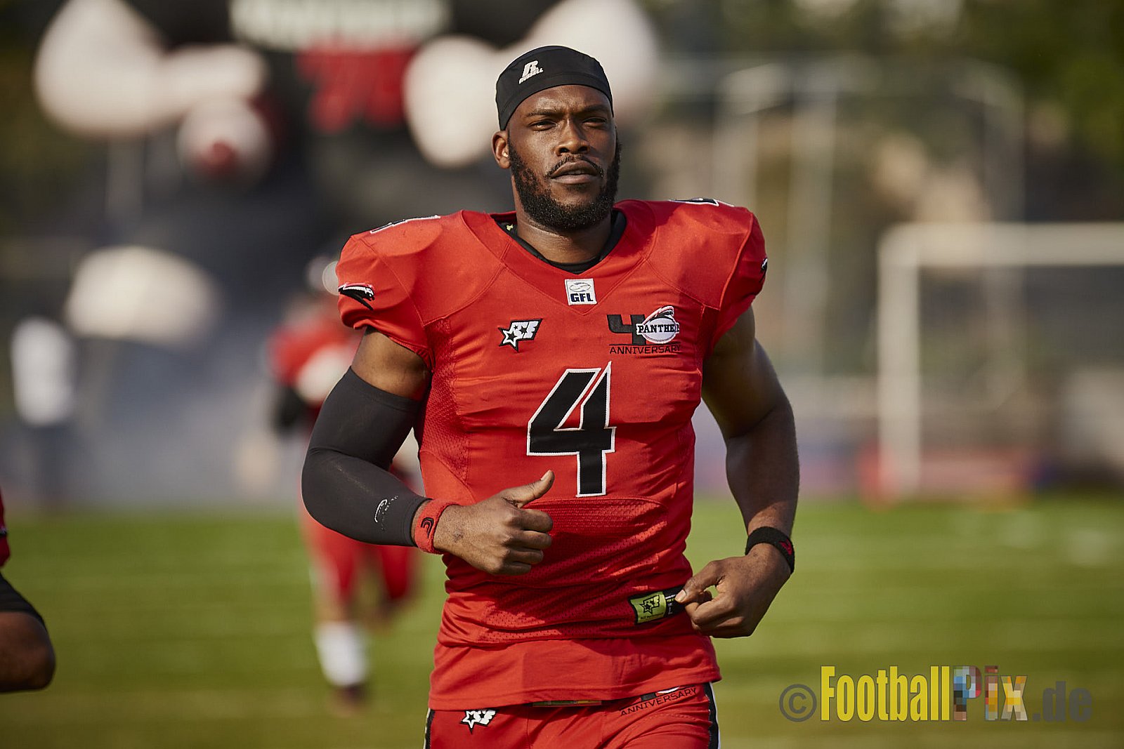 Düsseldorf Panther vs. Hamburg Huskies - RelegationDPantherVsHamburgHuskies