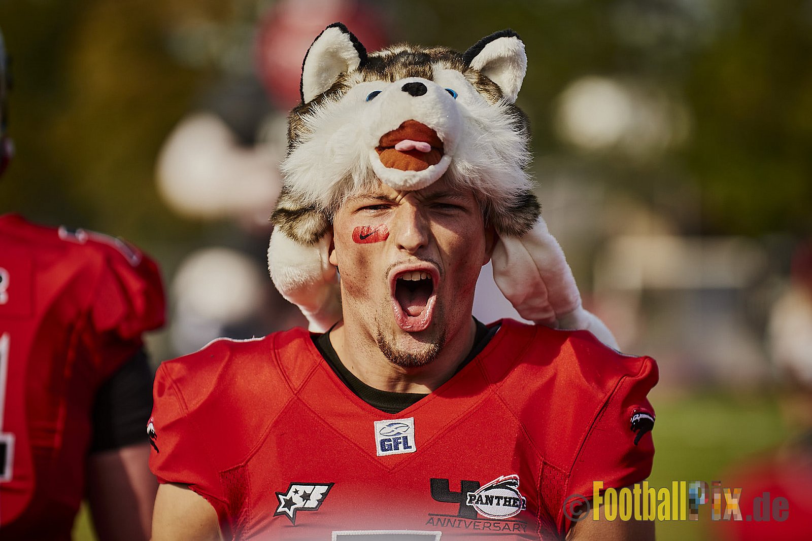 Düsseldorf Panther vs. Hamburg Huskies - RelegationDPantherVsHamburgHuskies