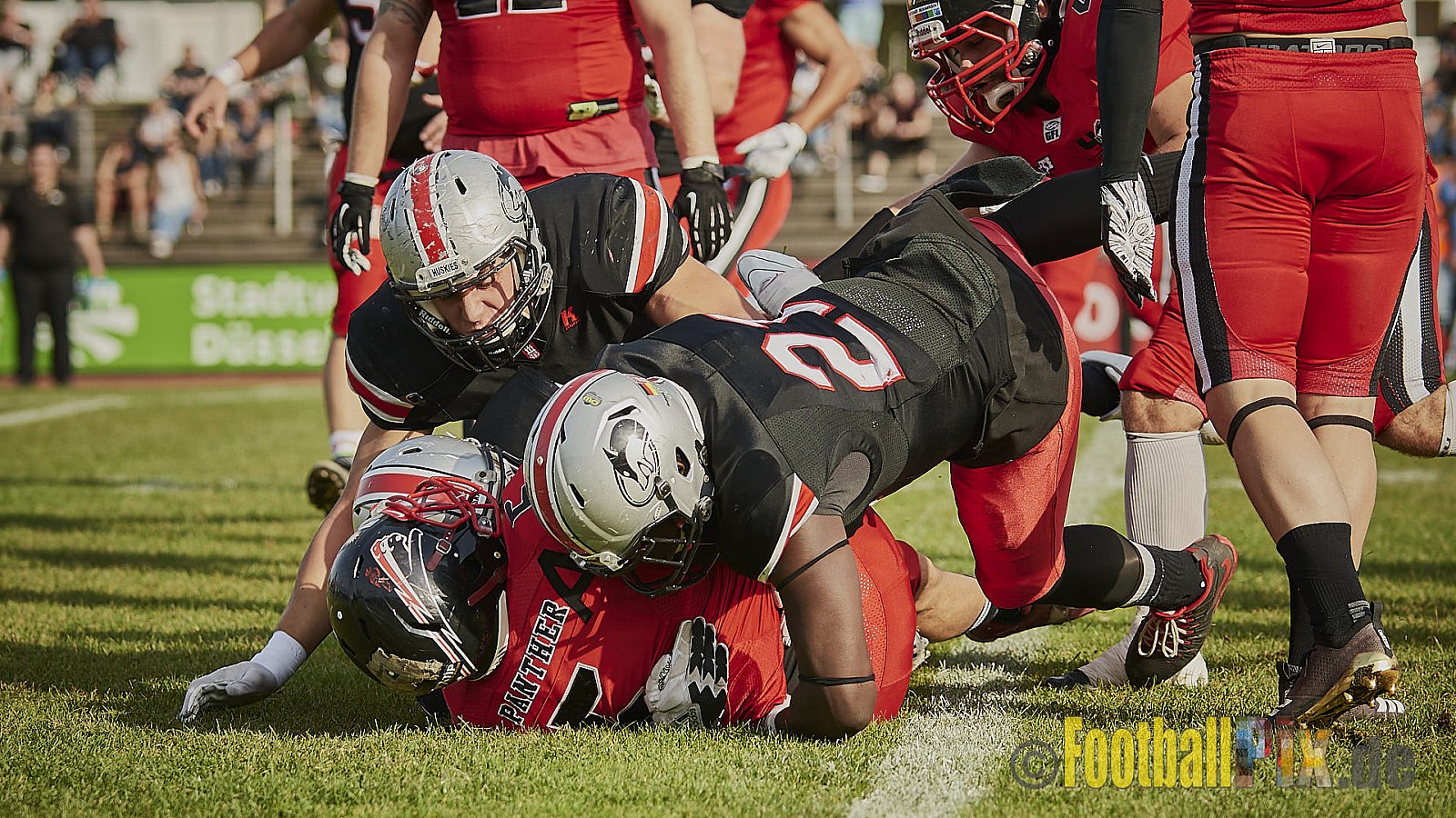 Düsseldorf Panther vs. Hamburg Huskies - RelegationDPantherVsHamburgHuskies