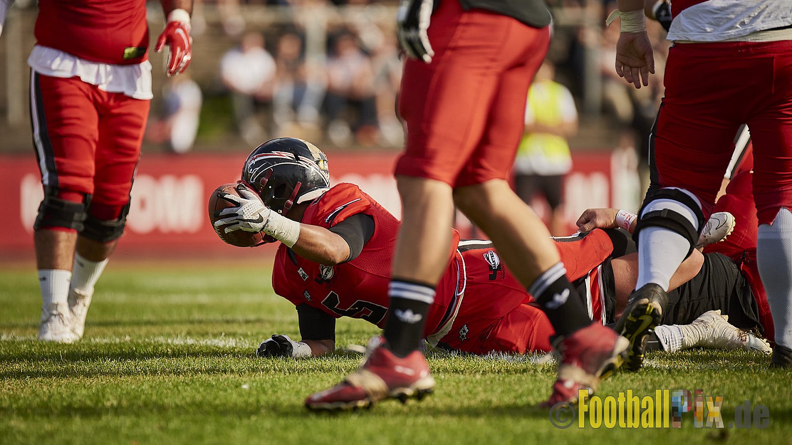 Düsseldorf Panther vs. Hamburg Huskies - RelegationDPantherVsHamburgHuskies