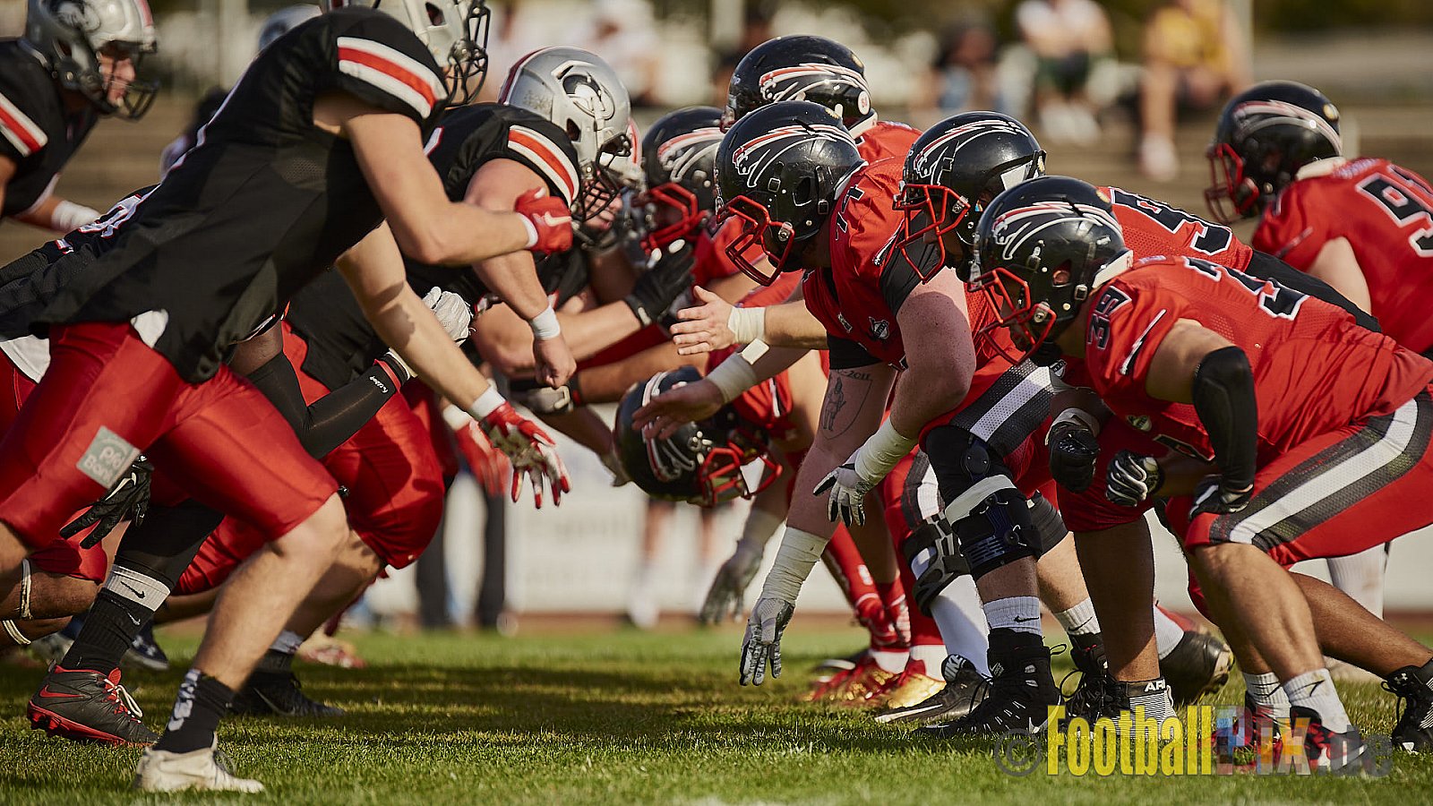 Düsseldorf Panther vs. Hamburg Huskies - RelegationDPantherVsHamburgHuskies