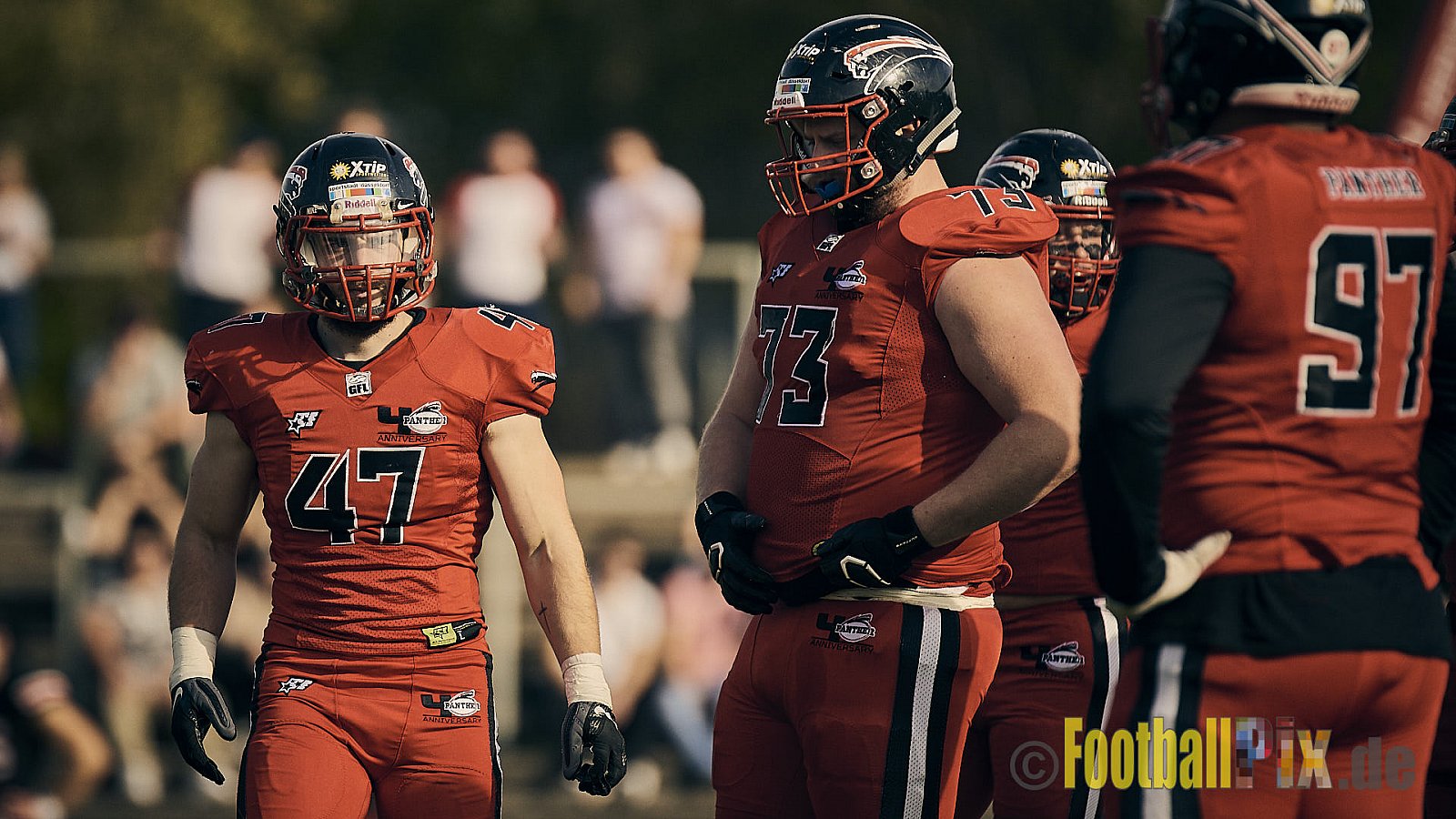 Düsseldorf Panther vs. Hamburg Huskies - RelegationDPantherVsHamburgHuskies