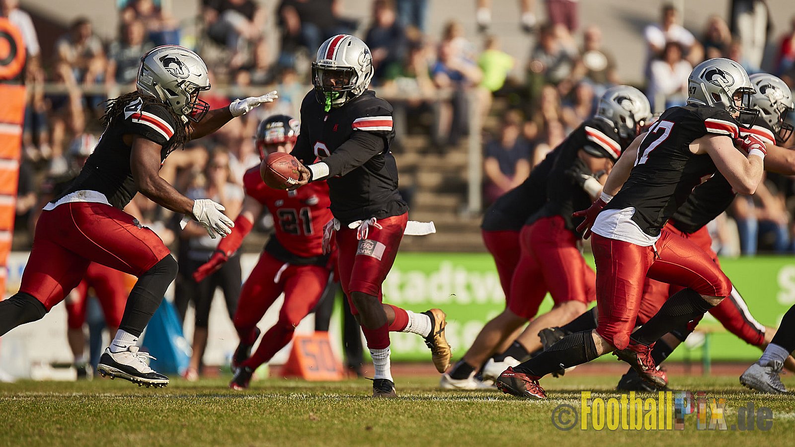 Düsseldorf Panther vs. Hamburg Huskies - RelegationDPantherVsHamburgHuskies