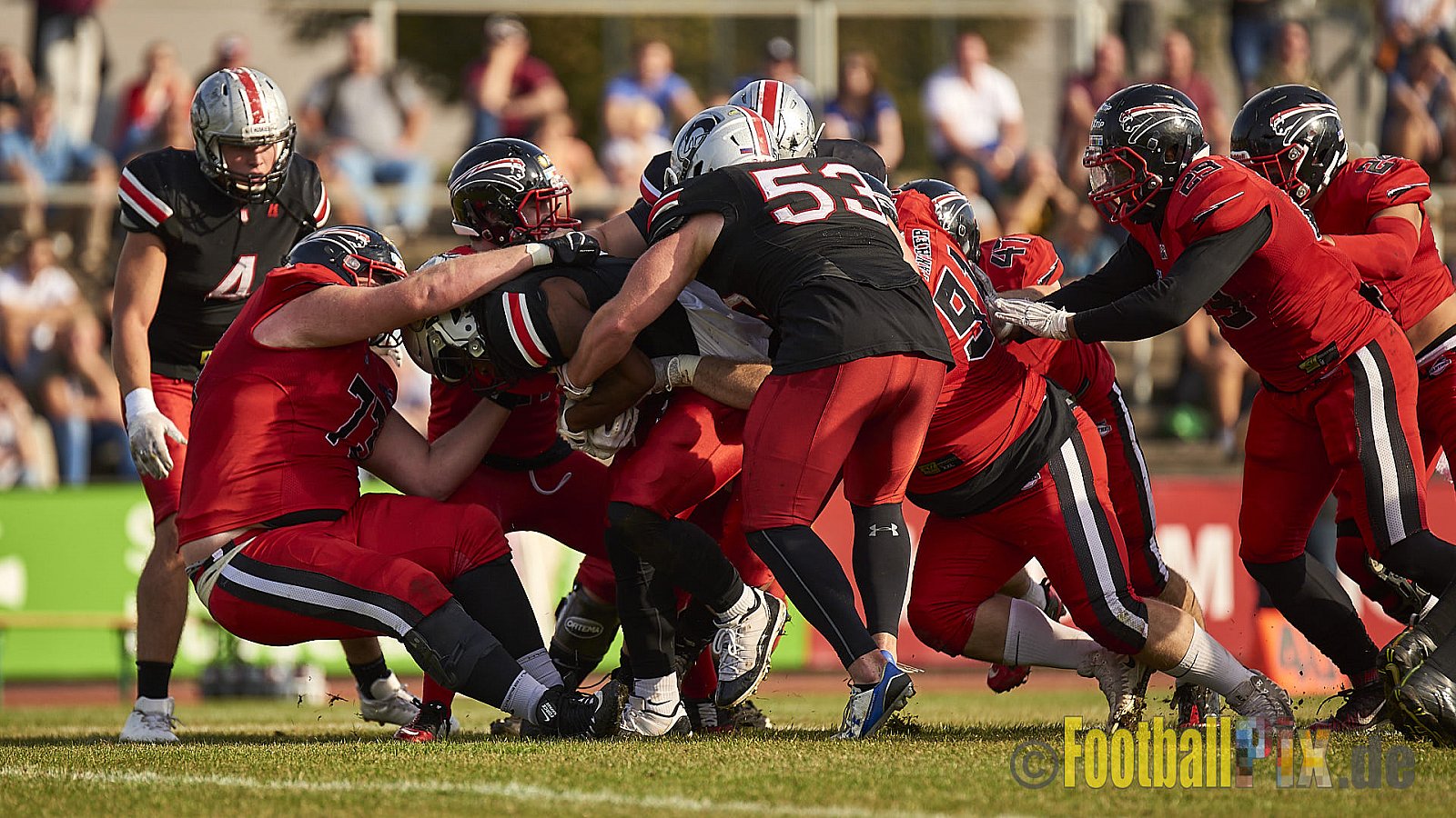 Düsseldorf Panther vs. Hamburg Huskies - RelegationDPantherVsHamburgHuskies