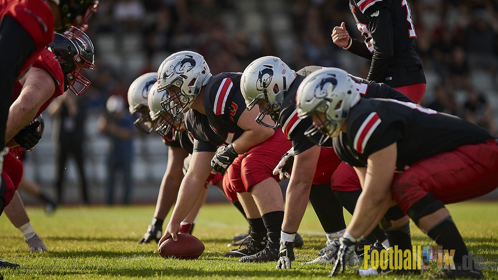 Düsseldorf Panther vs. Hamburg Huskies - RelegationDPantherVsHamburgHuskies
