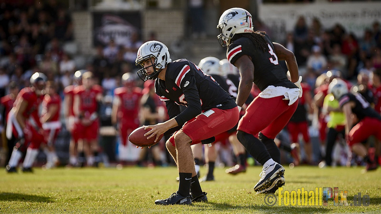 Düsseldorf Panther vs. Hamburg Huskies - RelegationDPantherVsHamburgHuskies