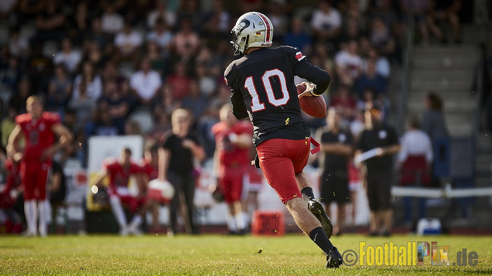 Düsseldorf Panther vs. Hamburg Huskies - RelegationDPantherVsHamburgHuskies