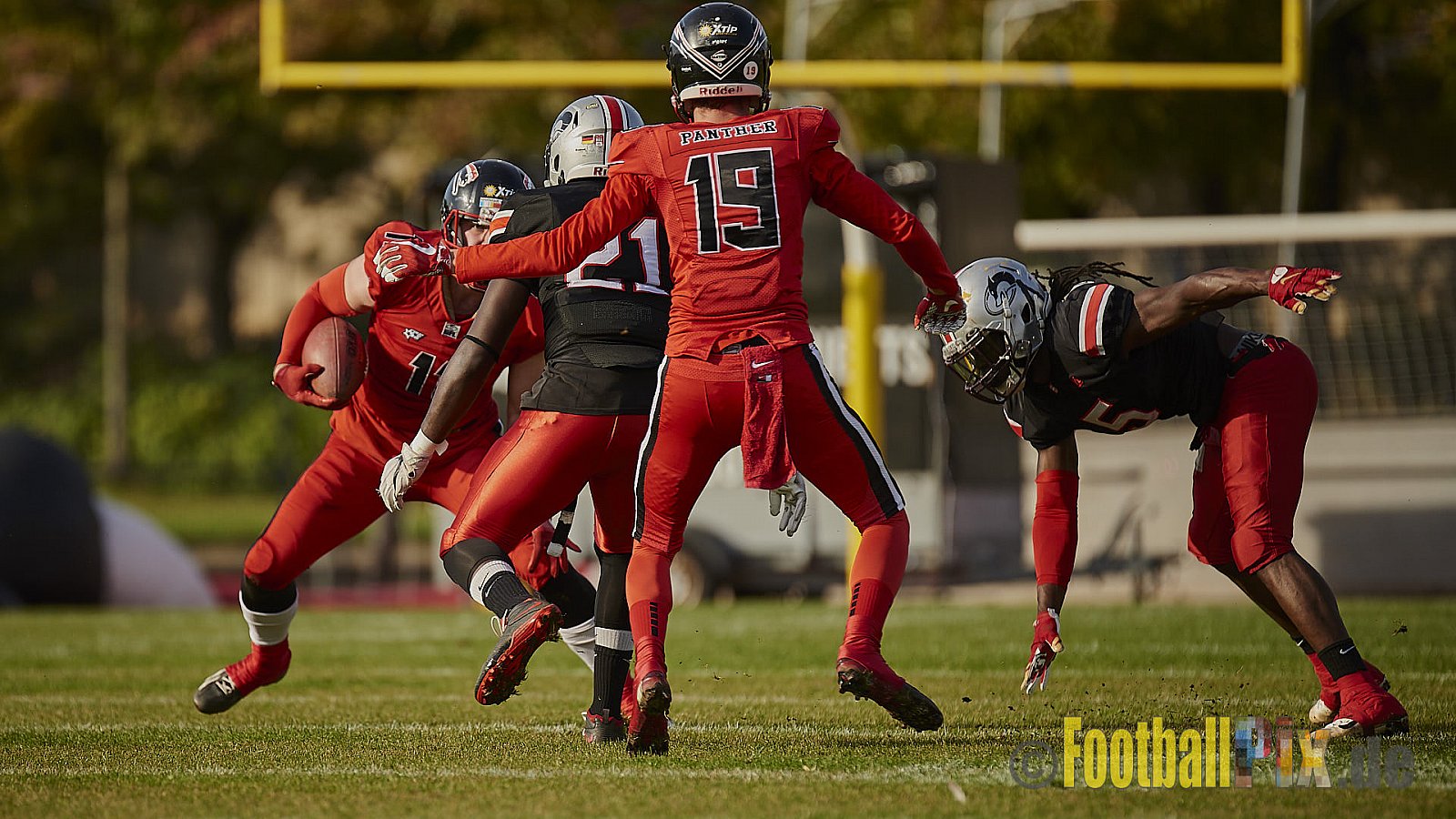 Düsseldorf Panther vs. Hamburg Huskies - RelegationDPantherVsHamburgHuskies
