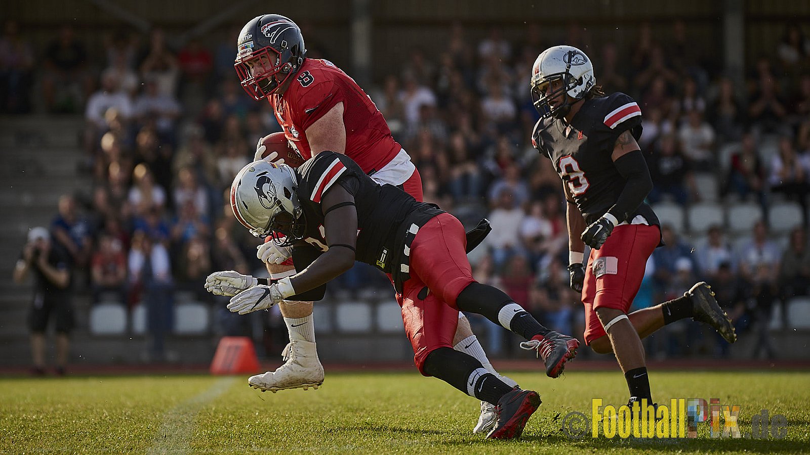 Düsseldorf Panther vs. Hamburg Huskies - RelegationDPantherVsHamburgHuskies