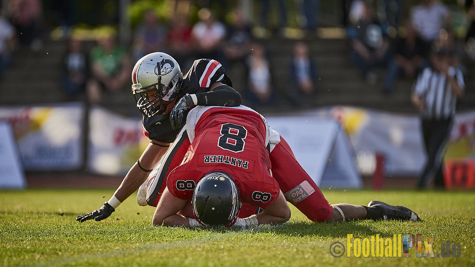 Düsseldorf Panther vs. Hamburg Huskies - RelegationDPantherVsHamburgHuskies