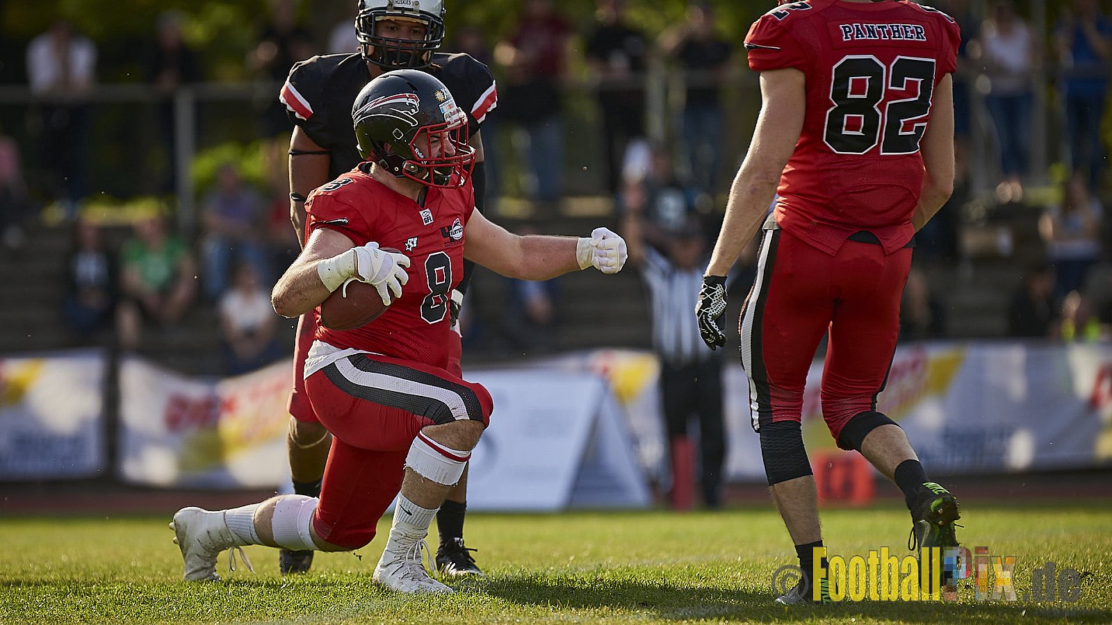 Düsseldorf Panther vs. Hamburg Huskies - RelegationDPantherVsHamburgHuskies