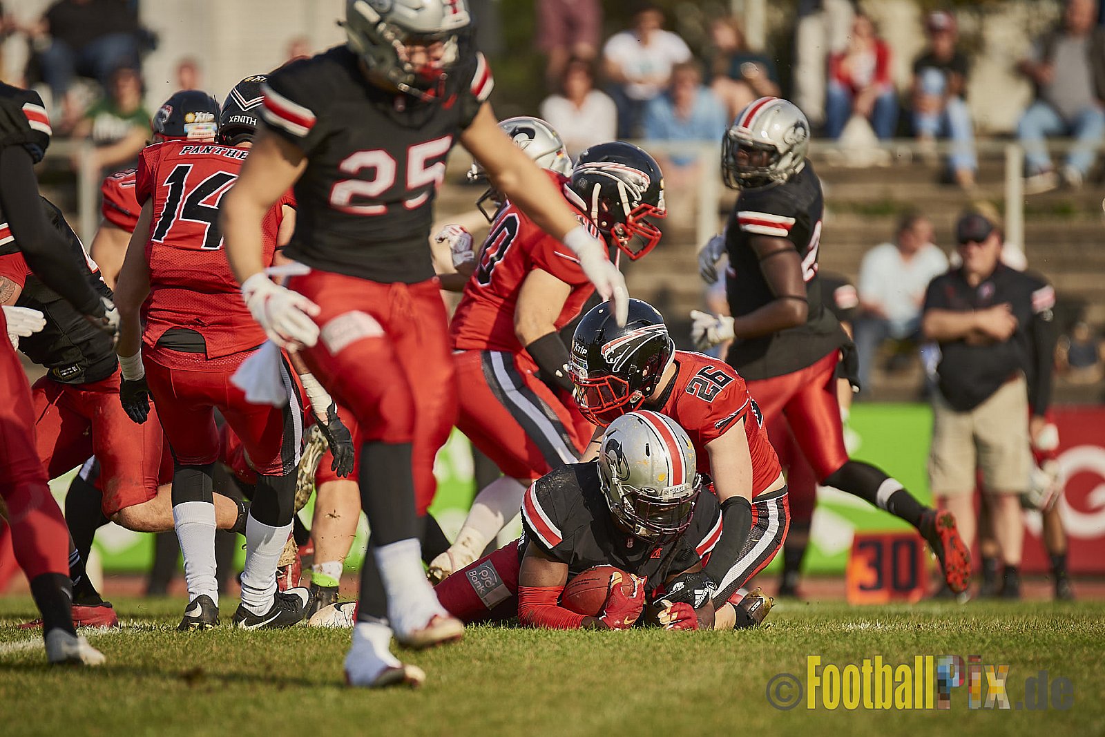 Düsseldorf Panther vs. Hamburg Huskies - RelegationDPantherVsHamburgHuskies