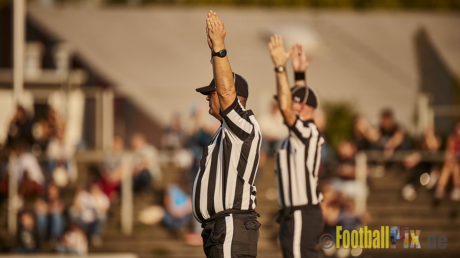 Düsseldorf Panther vs. Hamburg Huskies - RelegationDPantherVsHamburgHuskies