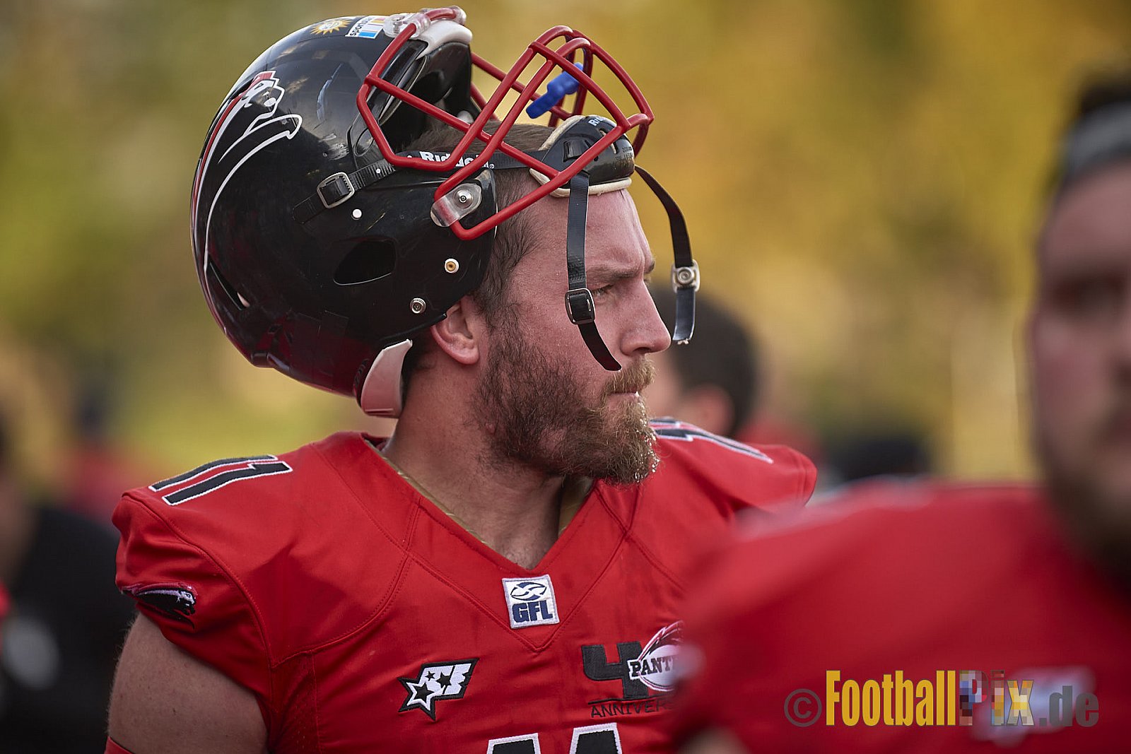Düsseldorf Panther vs. Hamburg Huskies - RelegationDPantherVsHamburgHuskies
