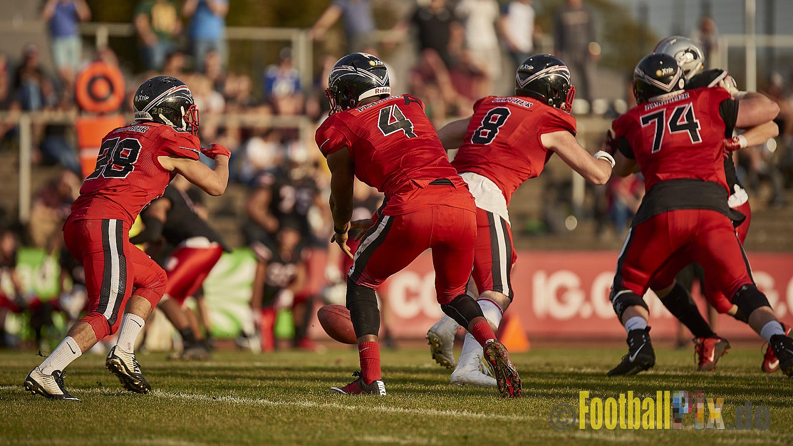 Düsseldorf Panther vs. Hamburg Huskies - RelegationDPantherVsHamburgHuskies