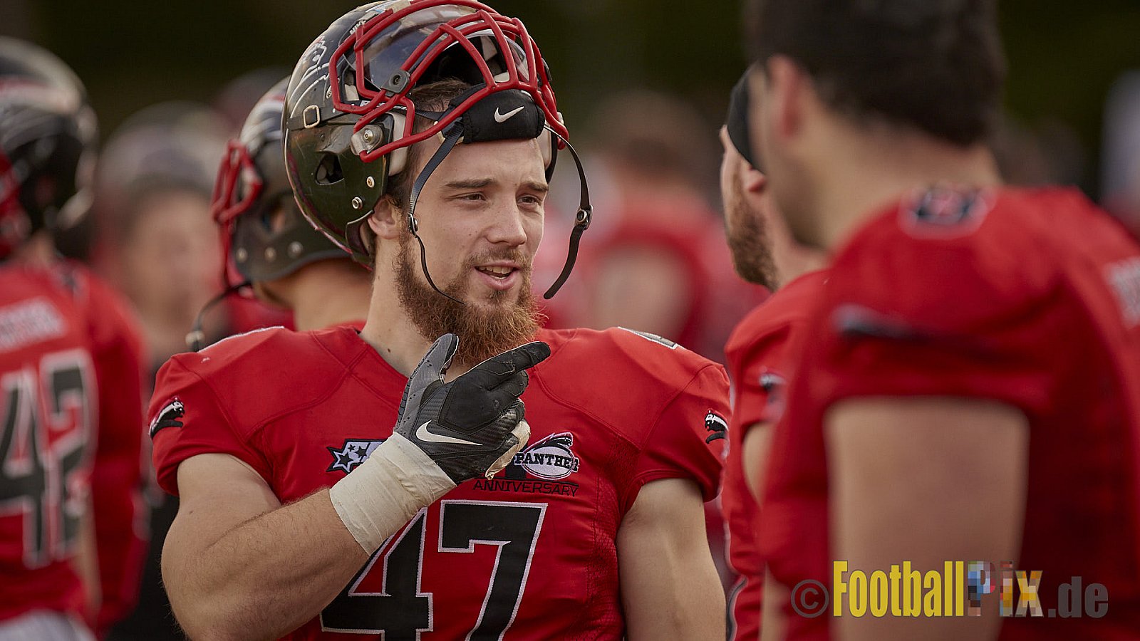 Düsseldorf Panther vs. Hamburg Huskies - RelegationDPantherVsHamburgHuskies