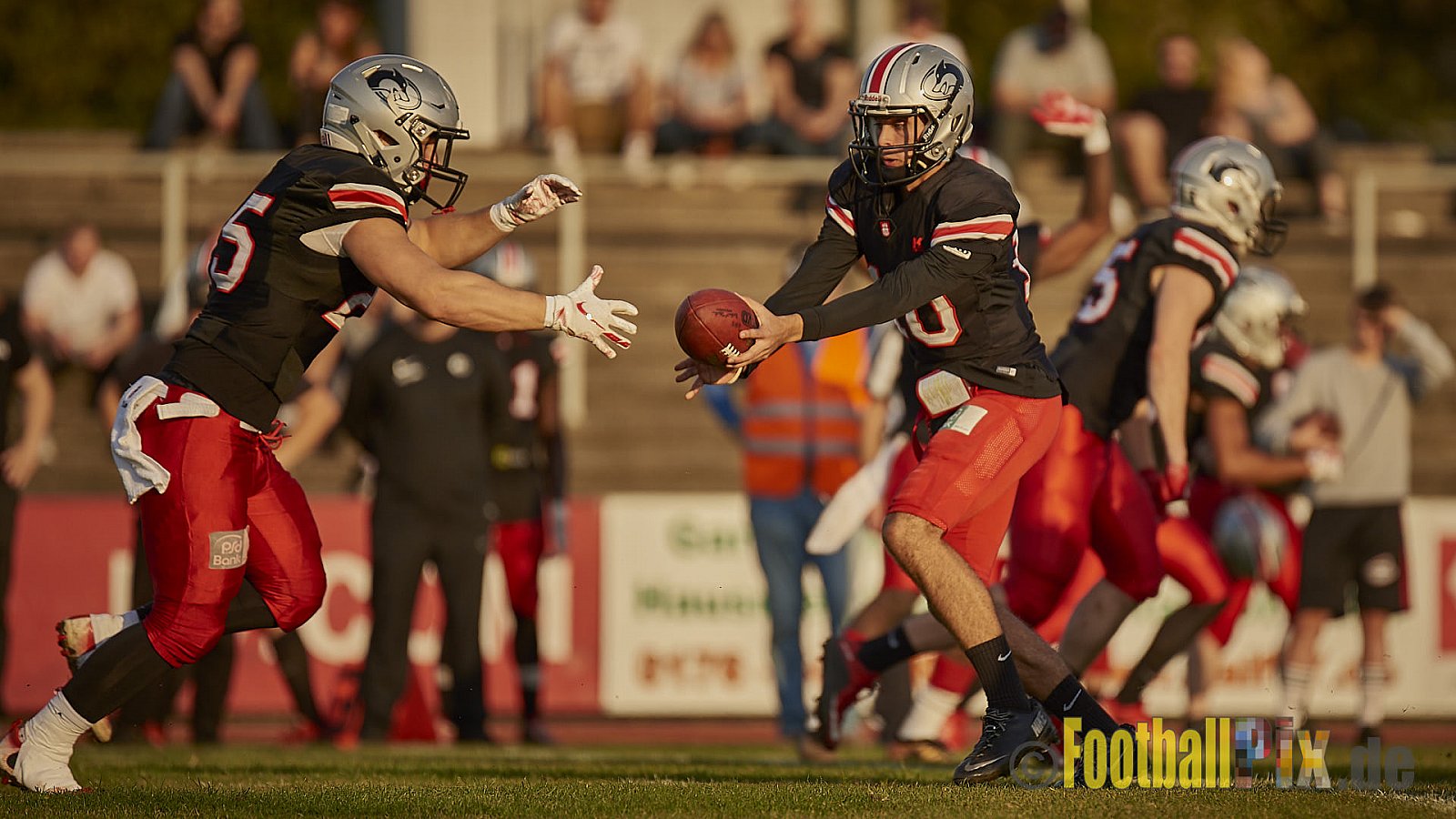 Düsseldorf Panther vs. Hamburg Huskies - RelegationDPantherVsHamburgHuskies