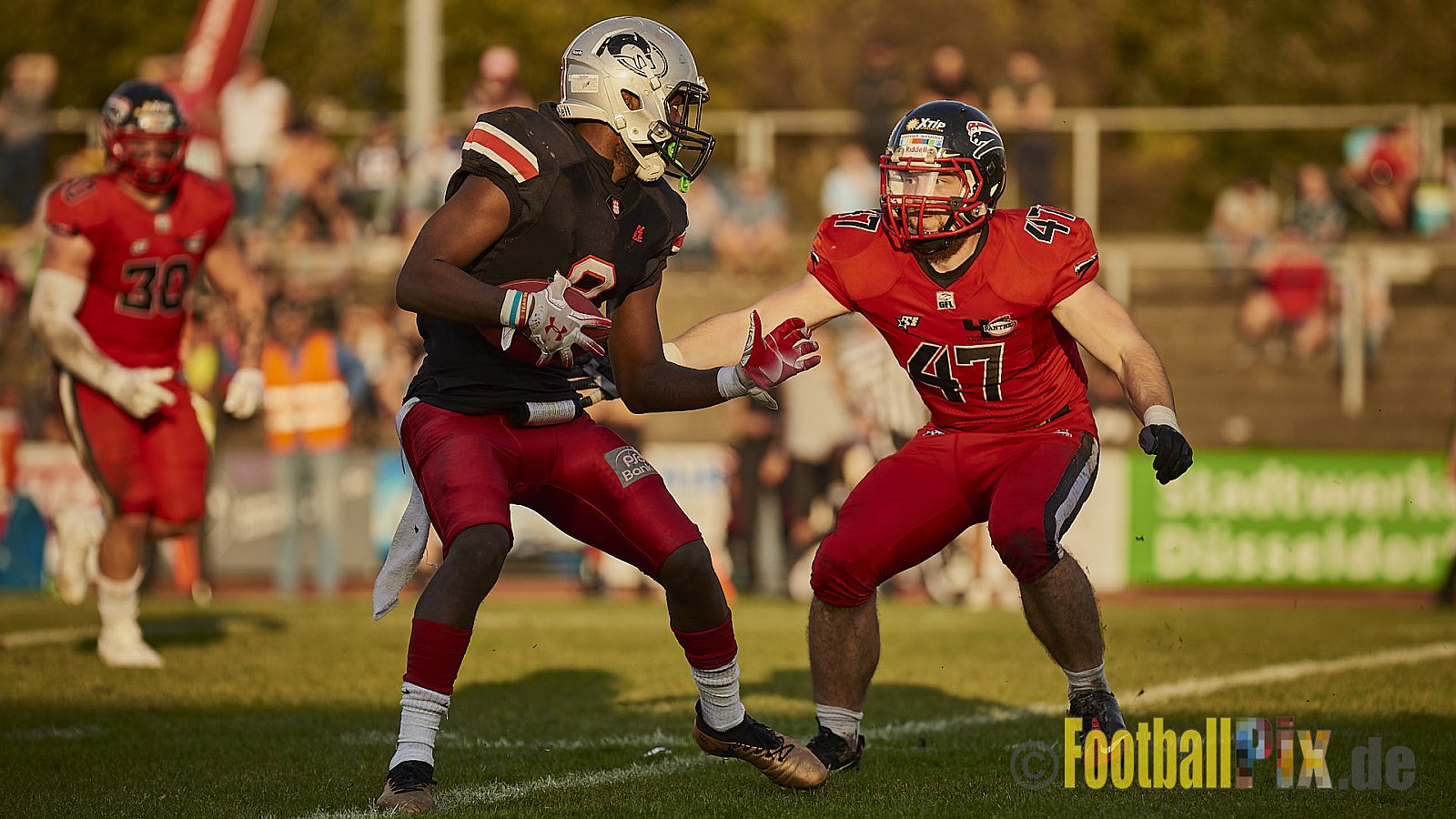 Düsseldorf Panther vs. Hamburg Huskies - RelegationDPantherVsHamburgHuskies