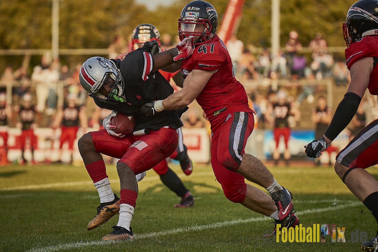 Düsseldorf Panther vs. Hamburg Huskies - RelegationDPantherVsHamburgHuskies
