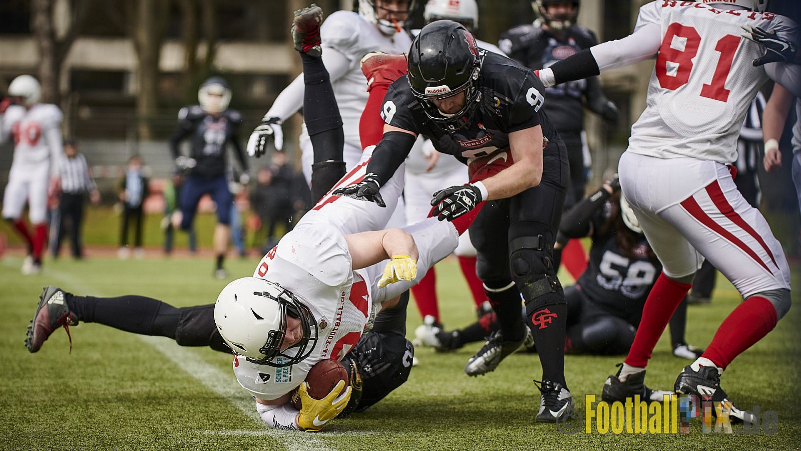 Cologne Falcons Prospects vs. Rhein-Main Rockets Offenbach - CologneFalconsProspectsVsRheinMainRocketsOffenbach