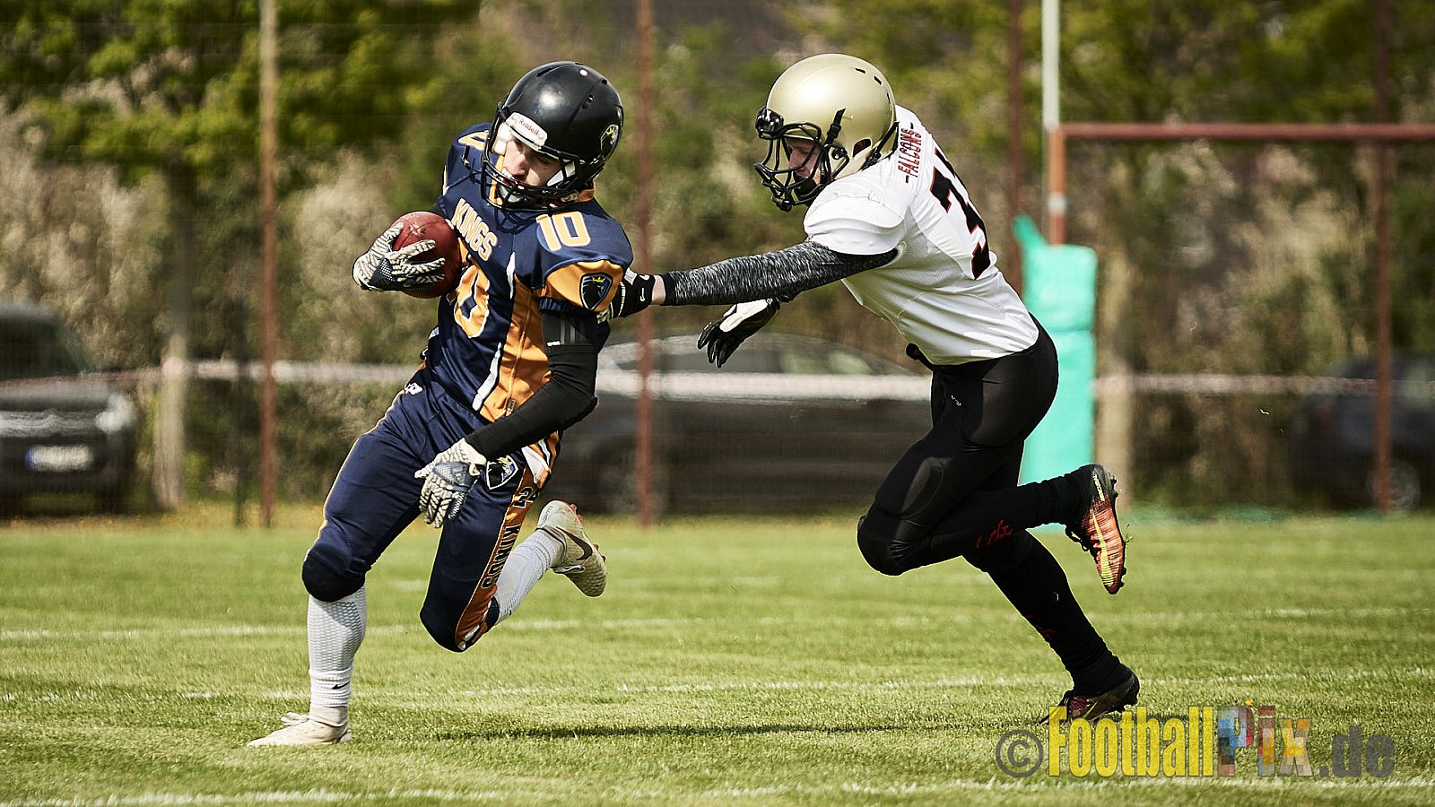 Kevelaer Kings vs. Cologne Falcons Prospects - KevelaerKingsVsCologneFalconsProspects