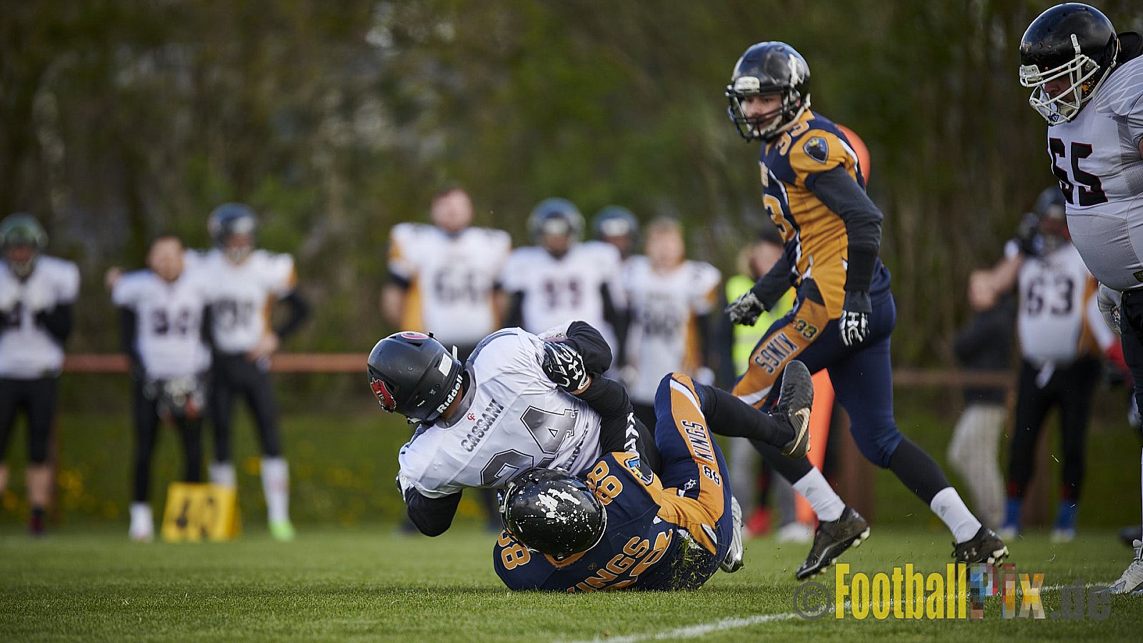 Kevelaer Kings vs. Cologne Falcons Prospects - KevelaerKingsVsCologneFalconsProspects