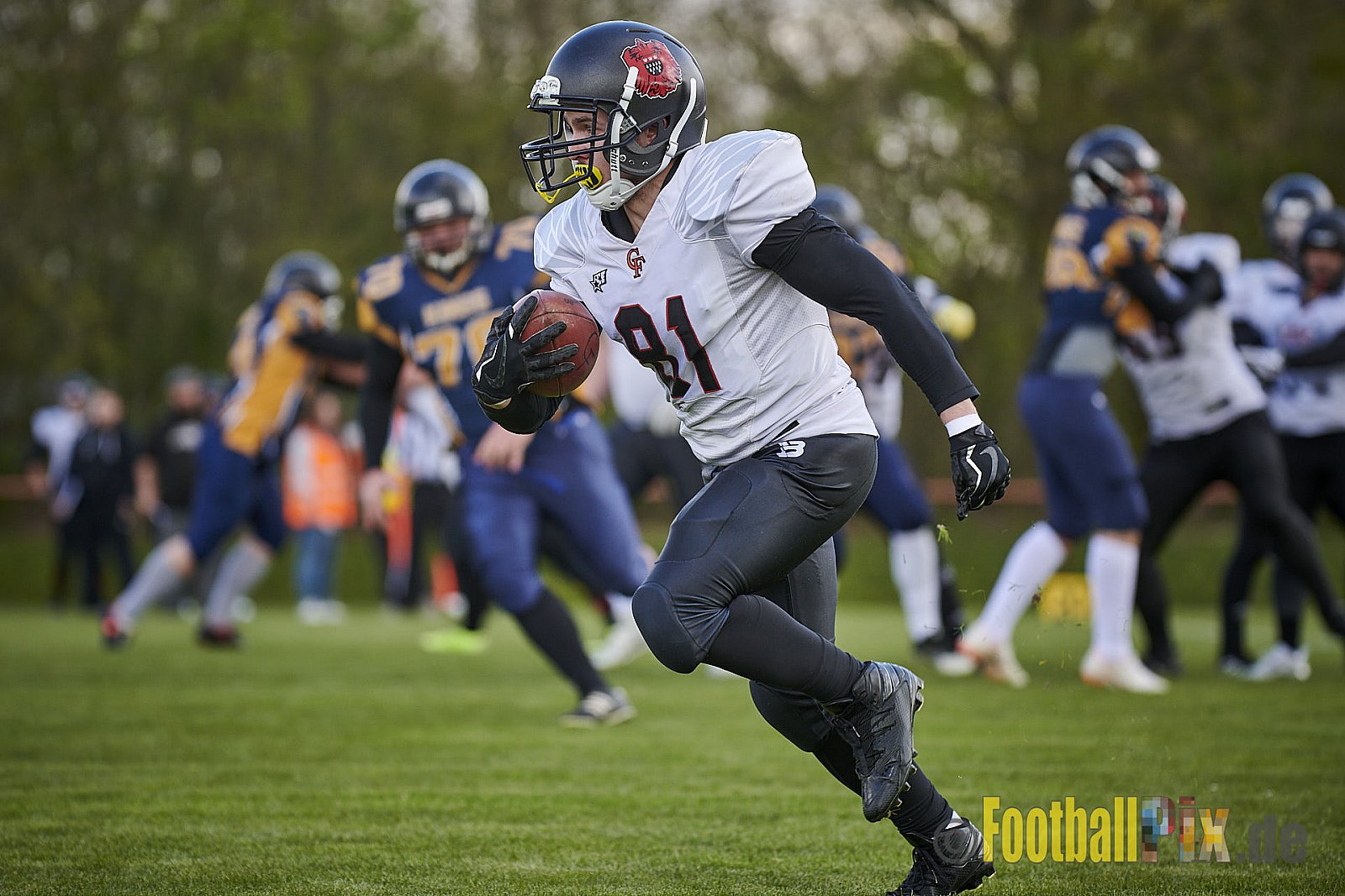 Kevelaer Kings vs. Cologne Falcons Prospects - KevelaerKingsVsCologneFalconsProspects