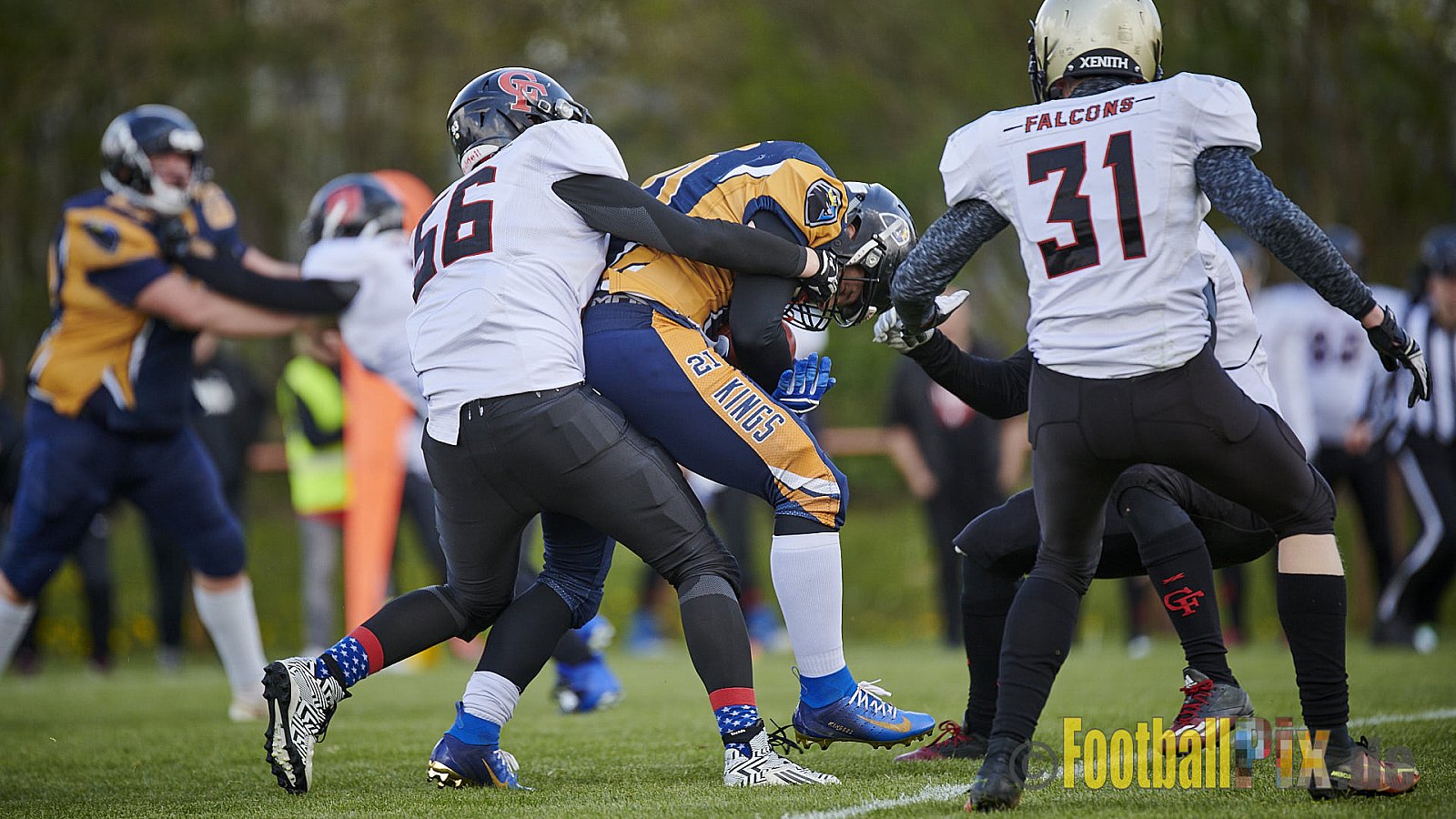 Kevelaer Kings vs. Cologne Falcons Prospects - KevelaerKingsVsCologneFalconsProspects