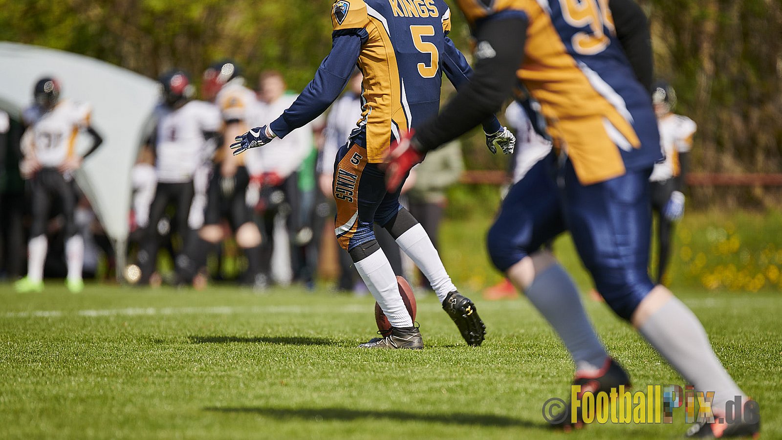 Kevelaer Kings vs. Cologne Falcons Prospects - KevelaerKingsVsCologneFalconsProspects