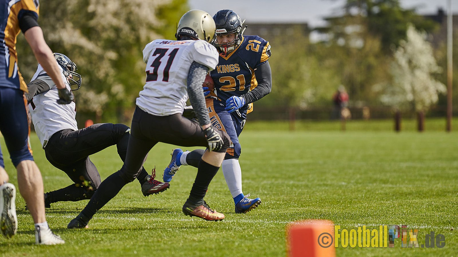 Kevelaer Kings vs. Cologne Falcons Prospects - KevelaerKingsVsCologneFalconsProspects
