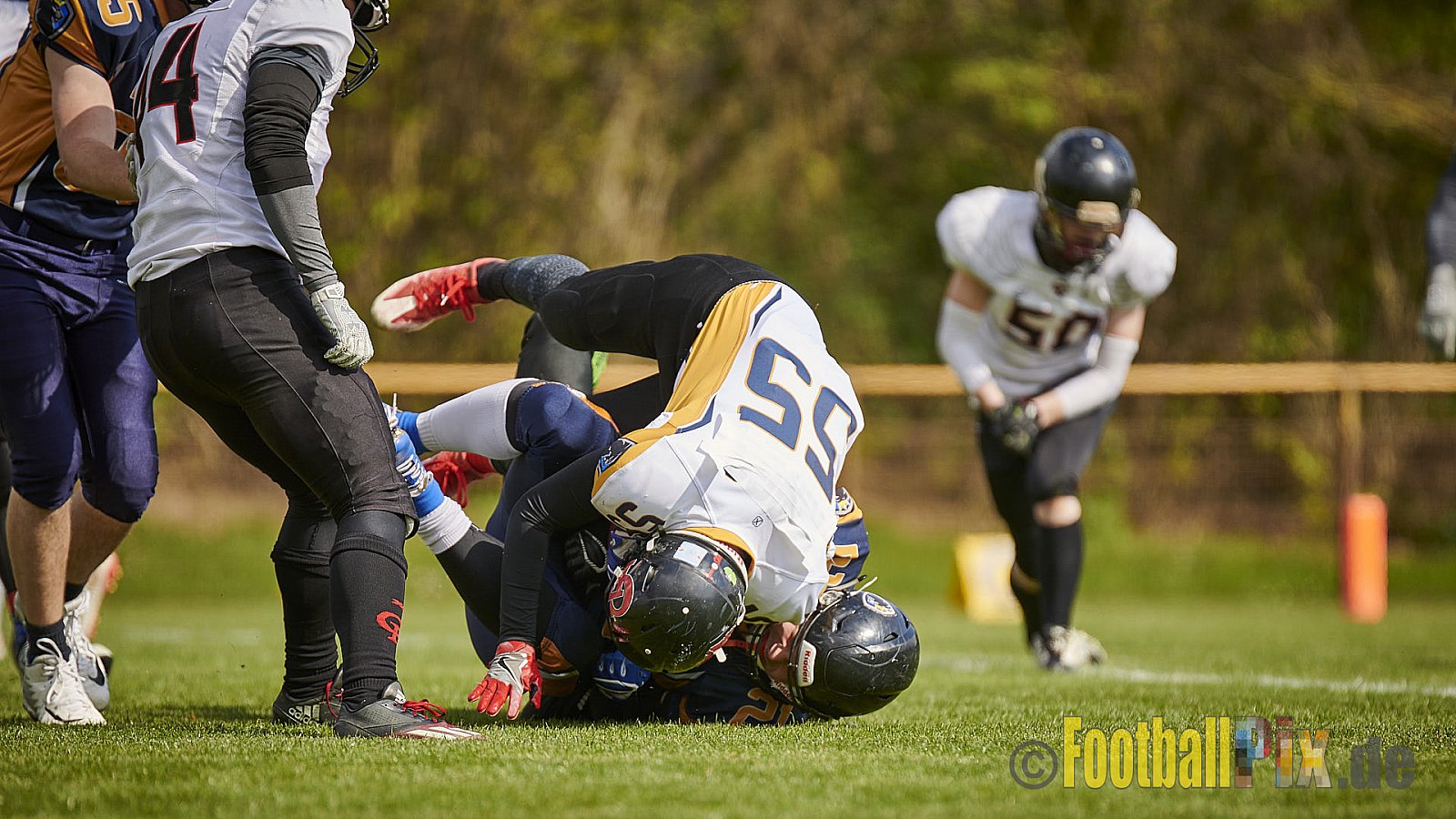 Kevelaer Kings vs. Cologne Falcons Prospects - KevelaerKingsVsCologneFalconsProspects