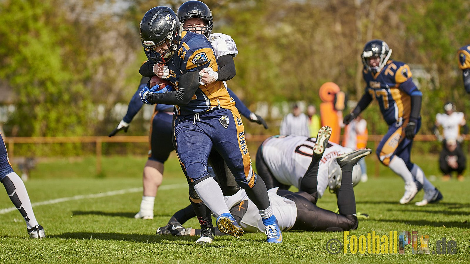 Kevelaer Kings vs. Cologne Falcons Prospects - KevelaerKingsVsCologneFalconsProspects