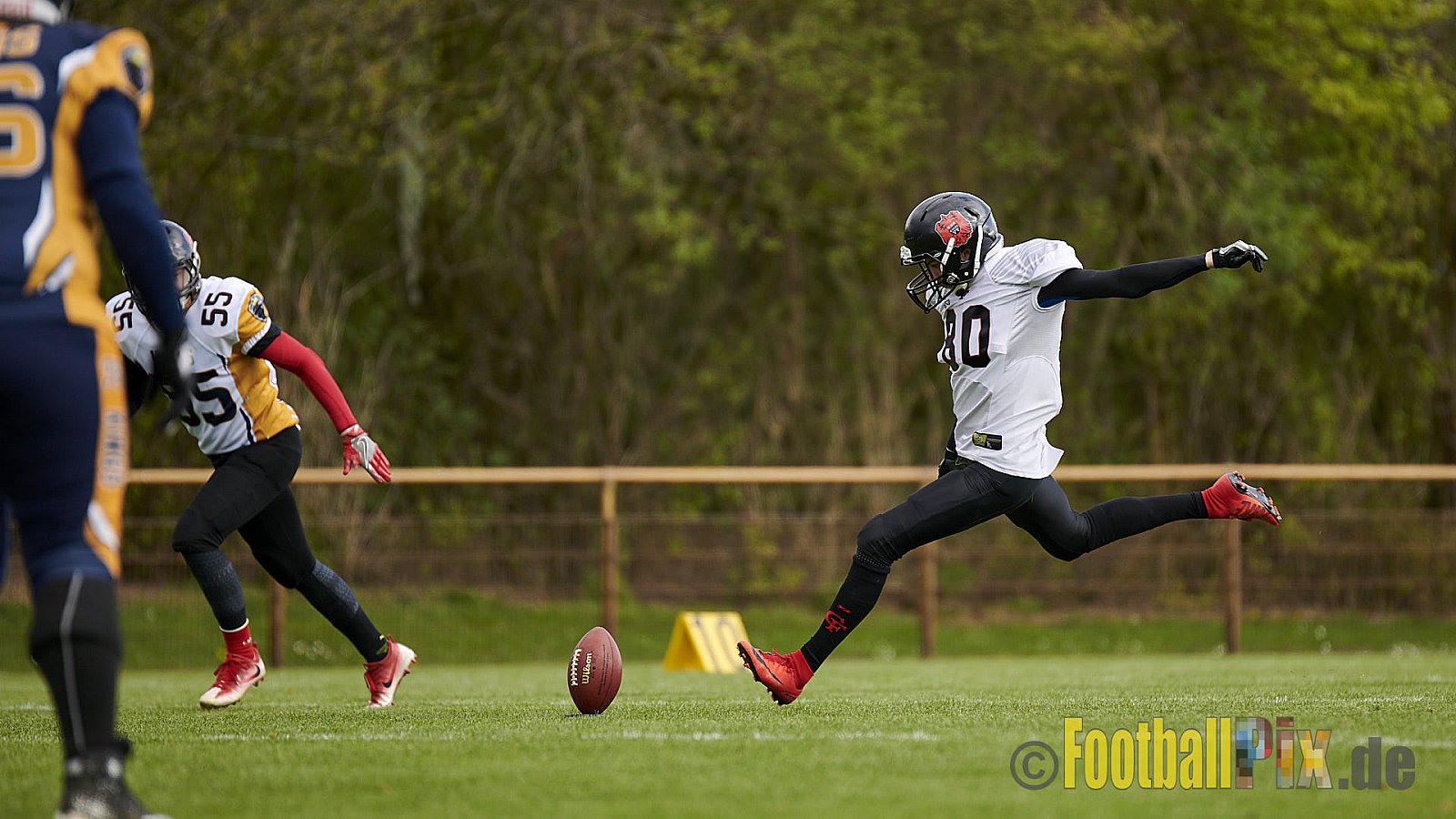Kevelaer Kings vs. Cologne Falcons Prospects - KevelaerKingsVsCologneFalconsProspects