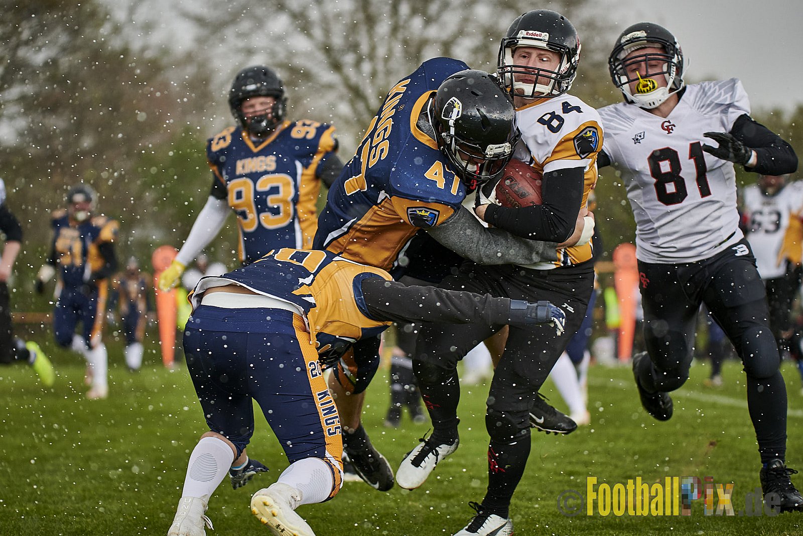 Kevelaer Kings vs. Cologne Falcons Prospects - KevelaerKingsVsCologneFalconsProspects
