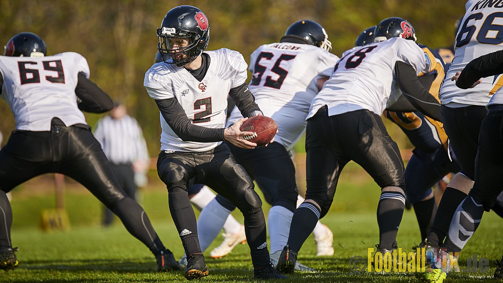 Kevelaer Kings vs. Cologne Falcons Prospects - KevelaerKingsVsCologneFalconsProspects