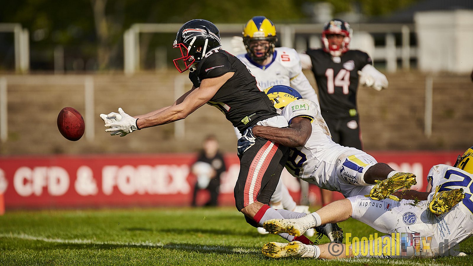 Düsseldorf Panther vs. Hildesheim Invaders - DPantherVsHildesheimInvaders
