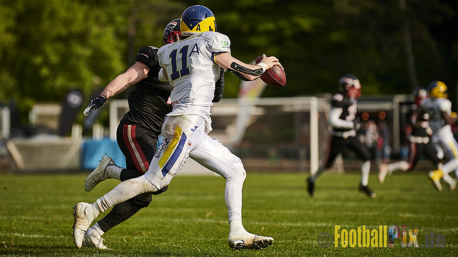 Düsseldorf Panther vs. Hildesheim Invaders - DPantherVsHildesheimInvaders