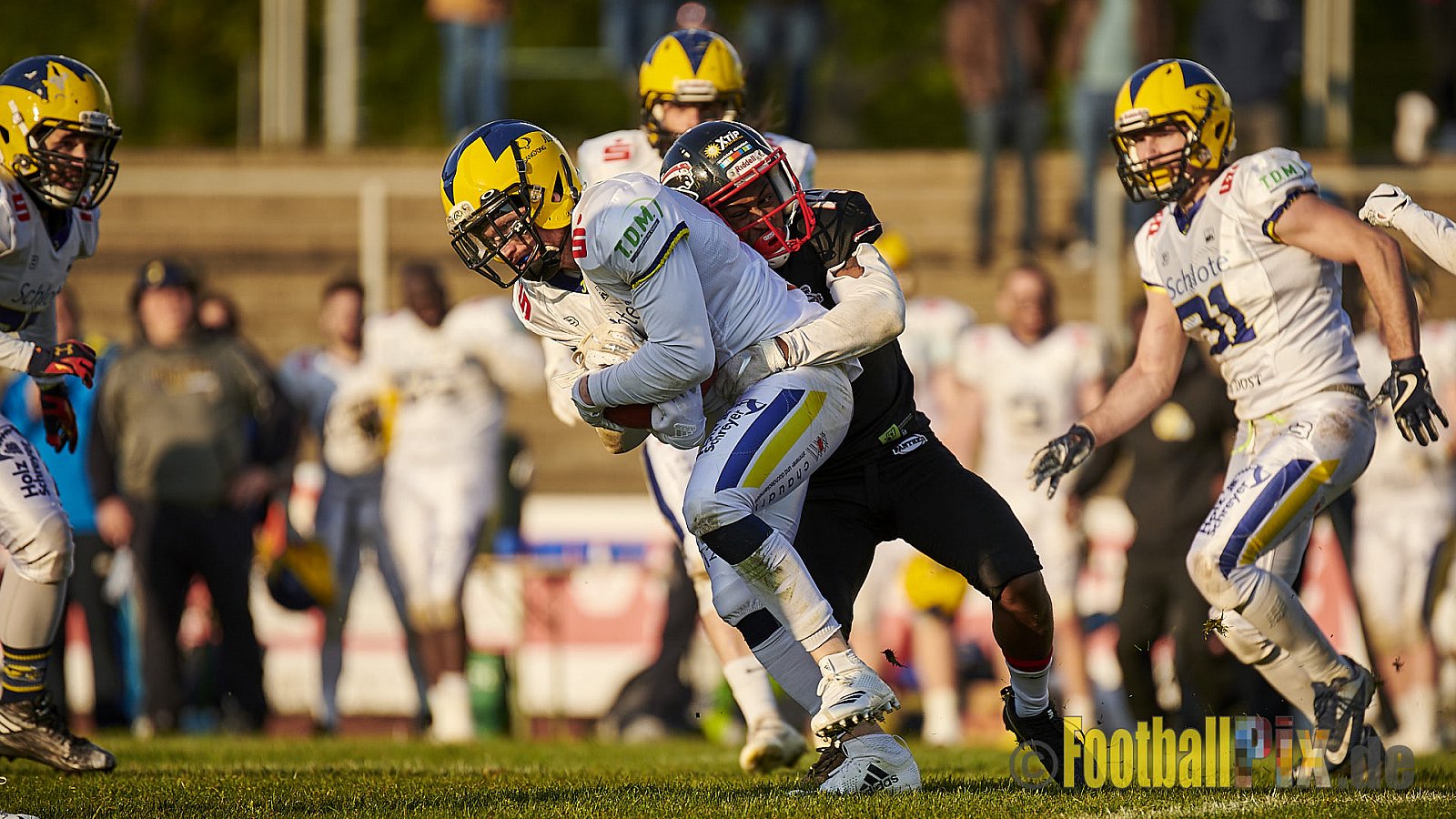 Düsseldorf Panther vs. Hildesheim Invaders - DPantherVsHildesheimInvaders