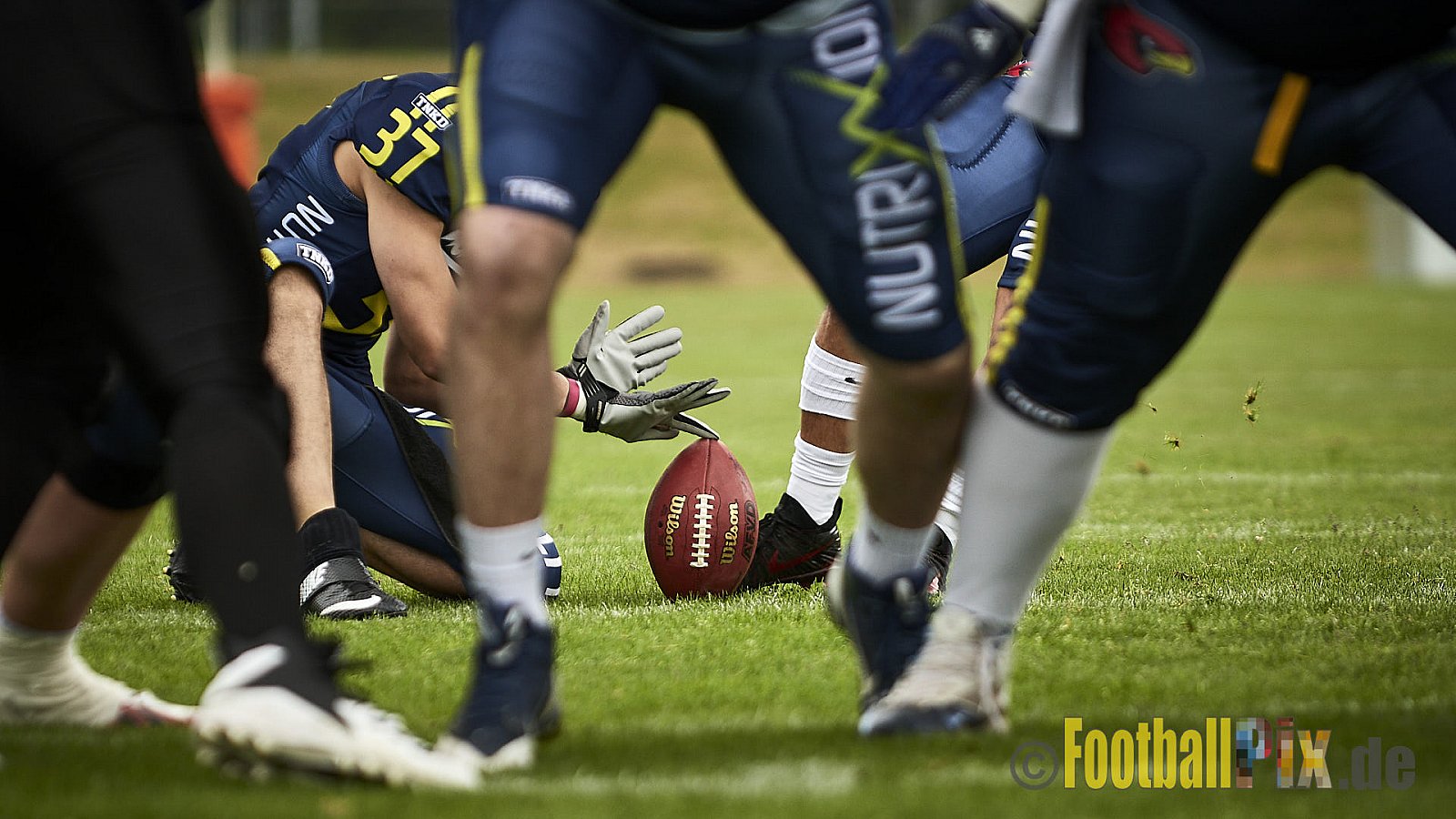 Essen Assindia Cardinals vs. Aachen Vampires - EssenAssindiaCardinalsVsAachenVampires
