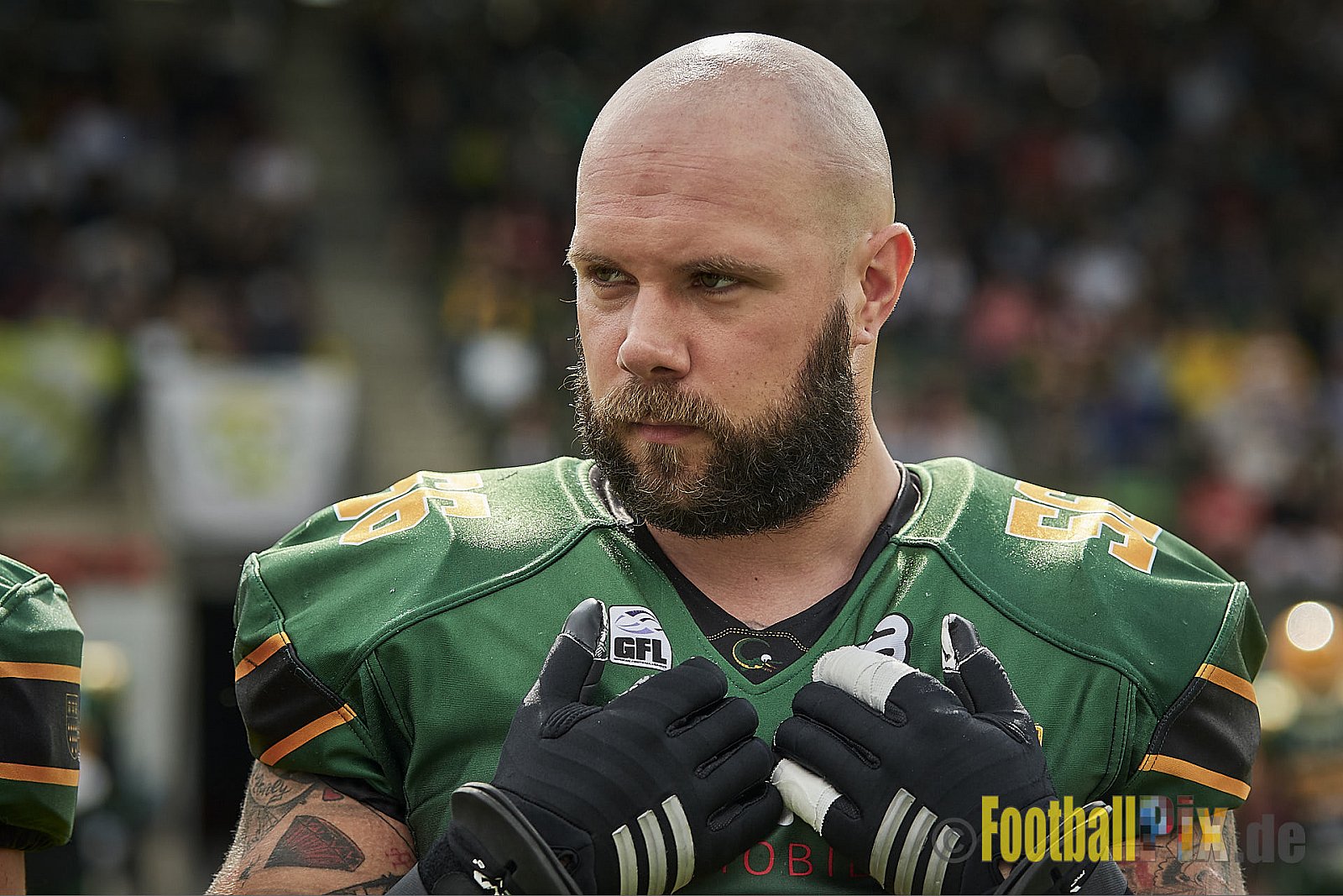 Cologne Crocodiles vs. Düsseldorf Panther - CologneCrocodilesVsDPanther