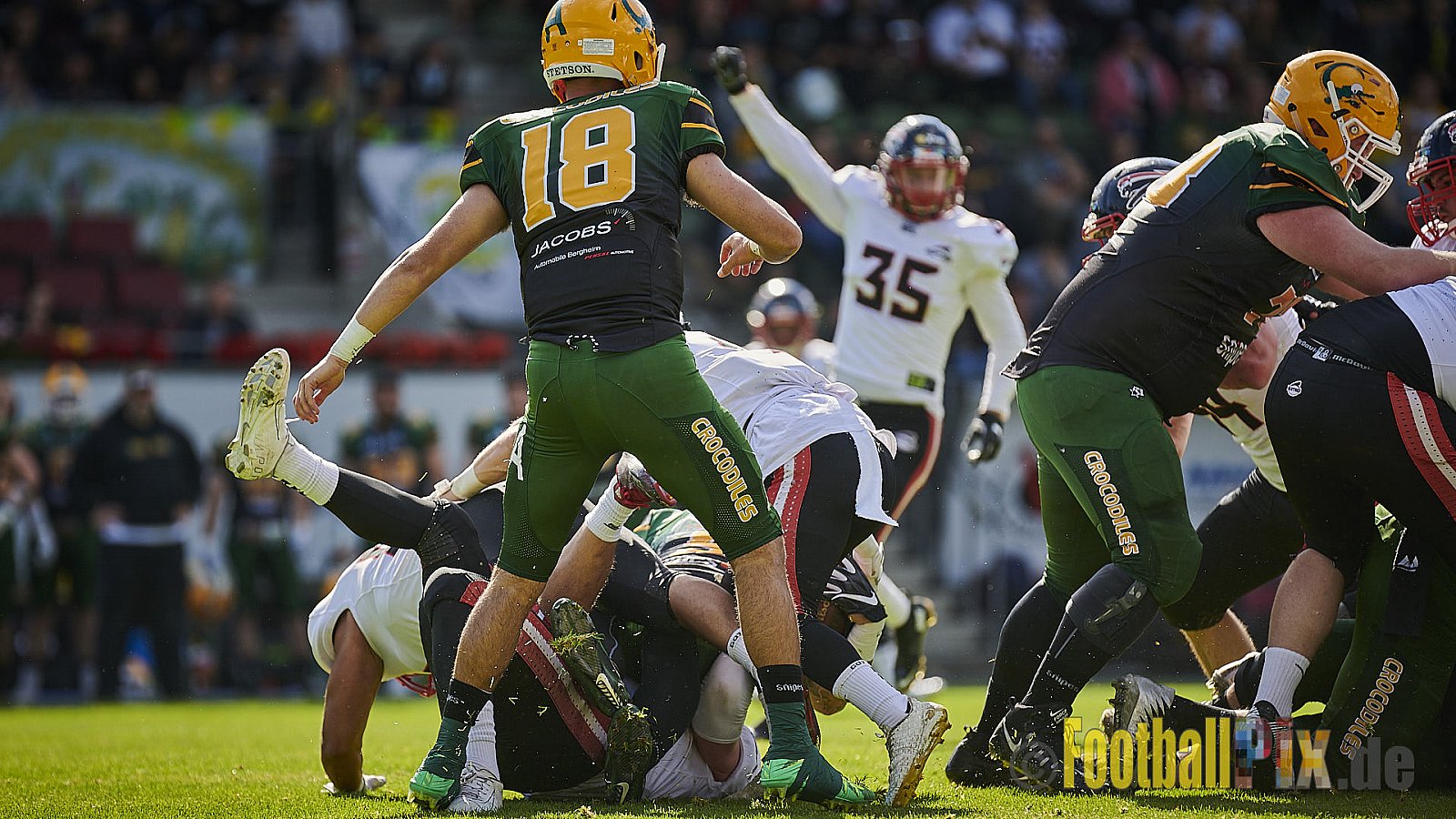 Cologne Crocodiles vs. Düsseldorf Panther - CologneCrocodilesVsDPanther