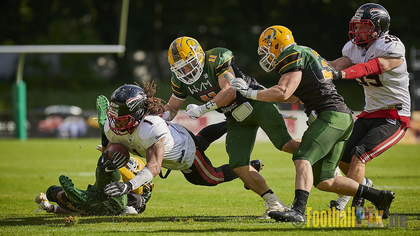 Cologne Crocodiles vs. Düsseldorf Panther - CologneCrocodilesVsDPanther