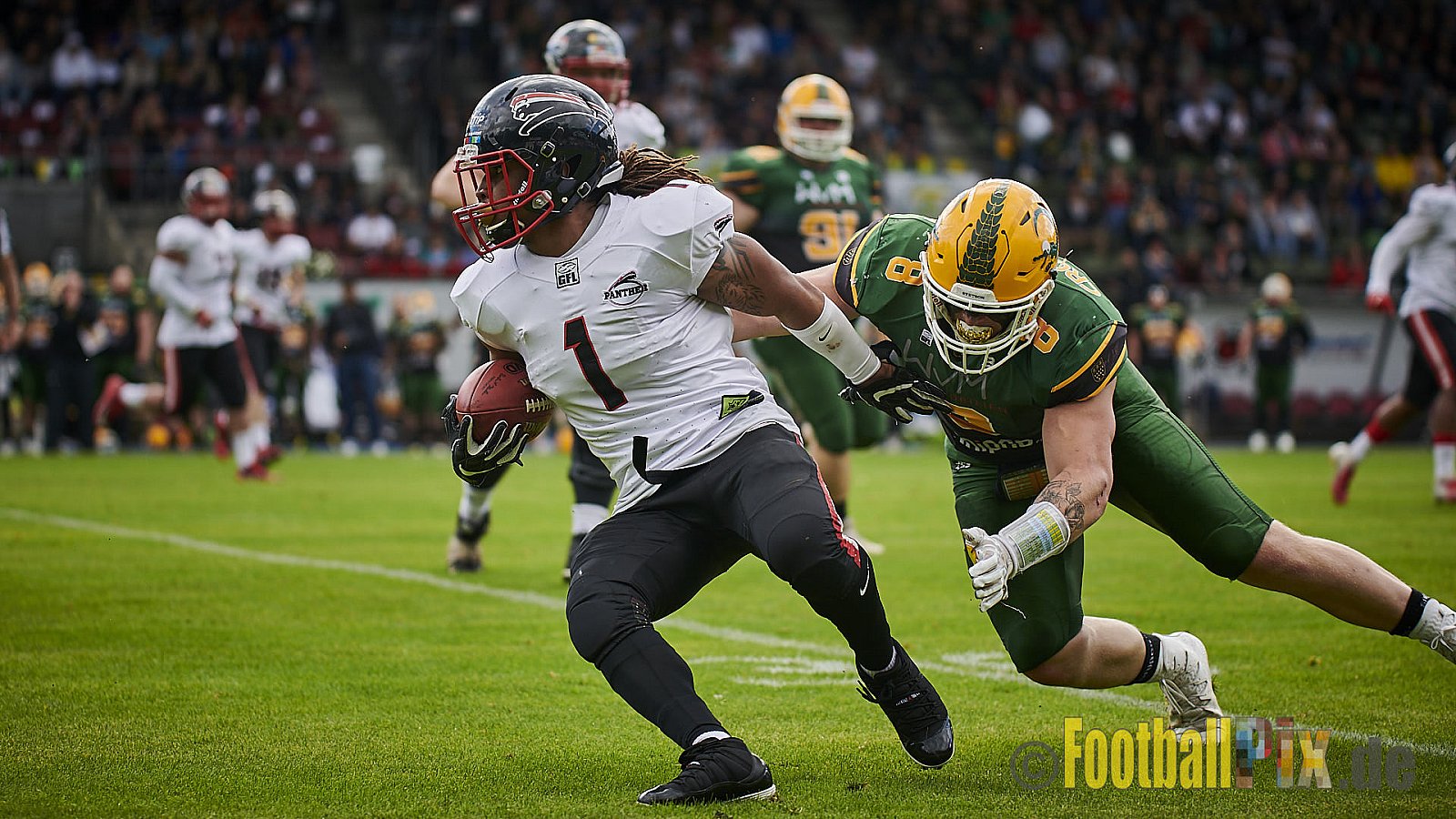 Cologne Crocodiles vs. Düsseldorf Panther - CologneCrocodilesVsDPanther