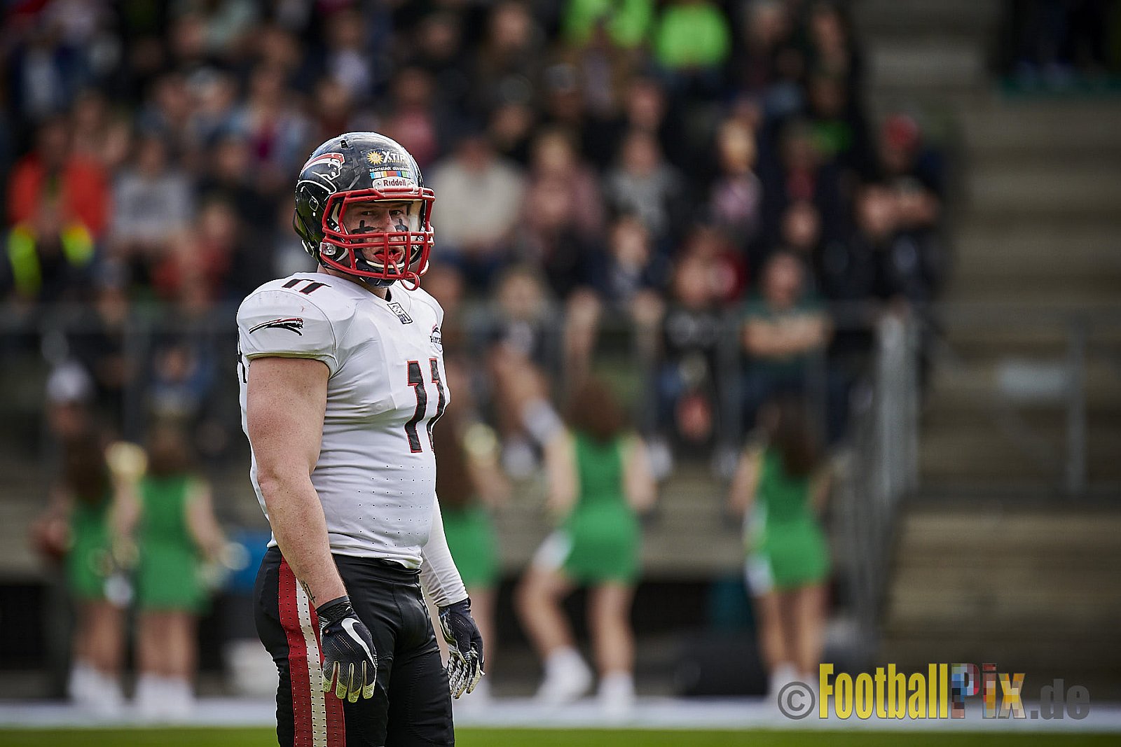Cologne Crocodiles vs. Düsseldorf Panther - CologneCrocodilesVsDPanther