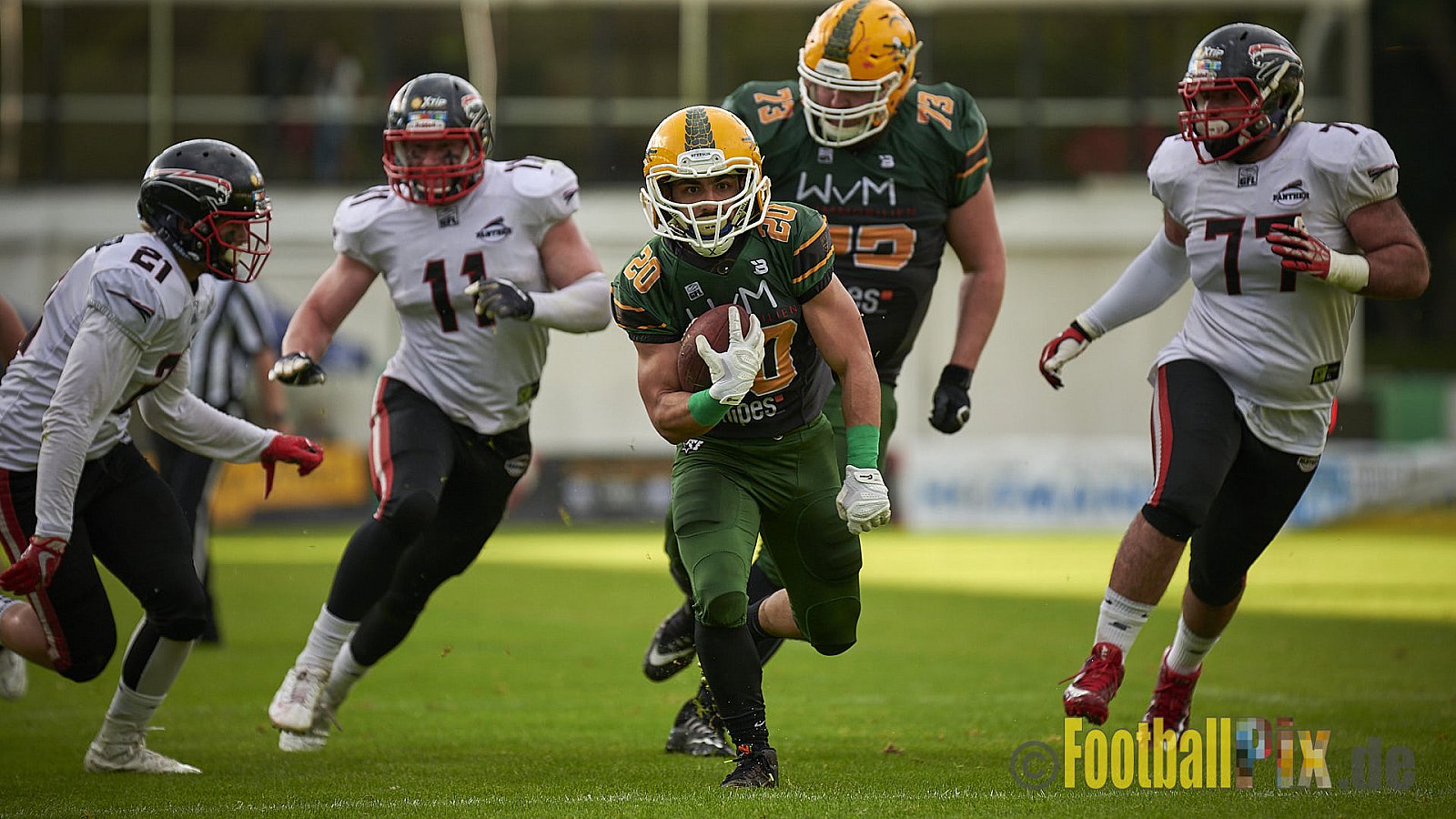 Cologne Crocodiles vs. Düsseldorf Panther - CologneCrocodilesVsDPanther