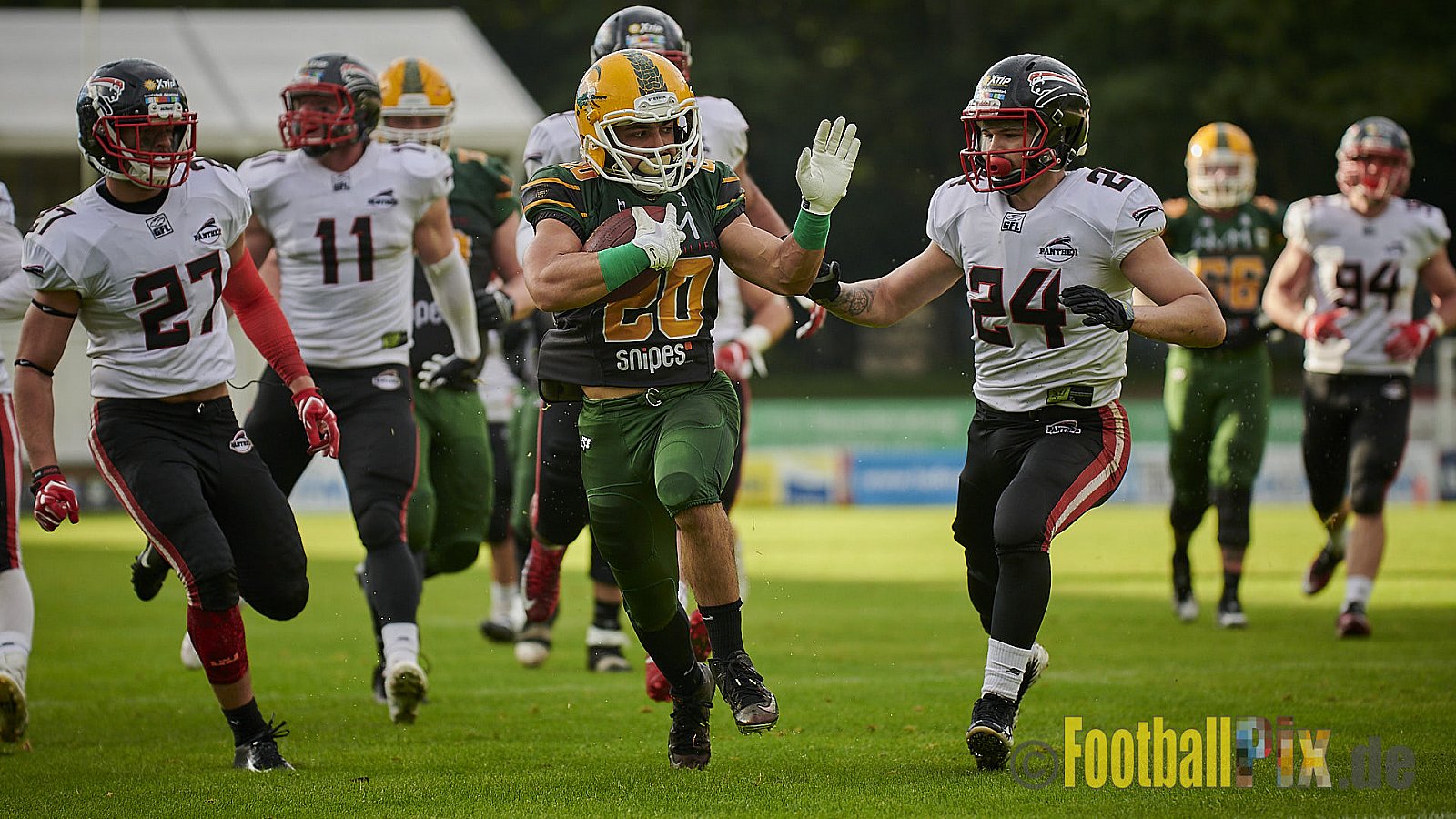 Cologne Crocodiles vs. Düsseldorf Panther - CologneCrocodilesVsDPanther